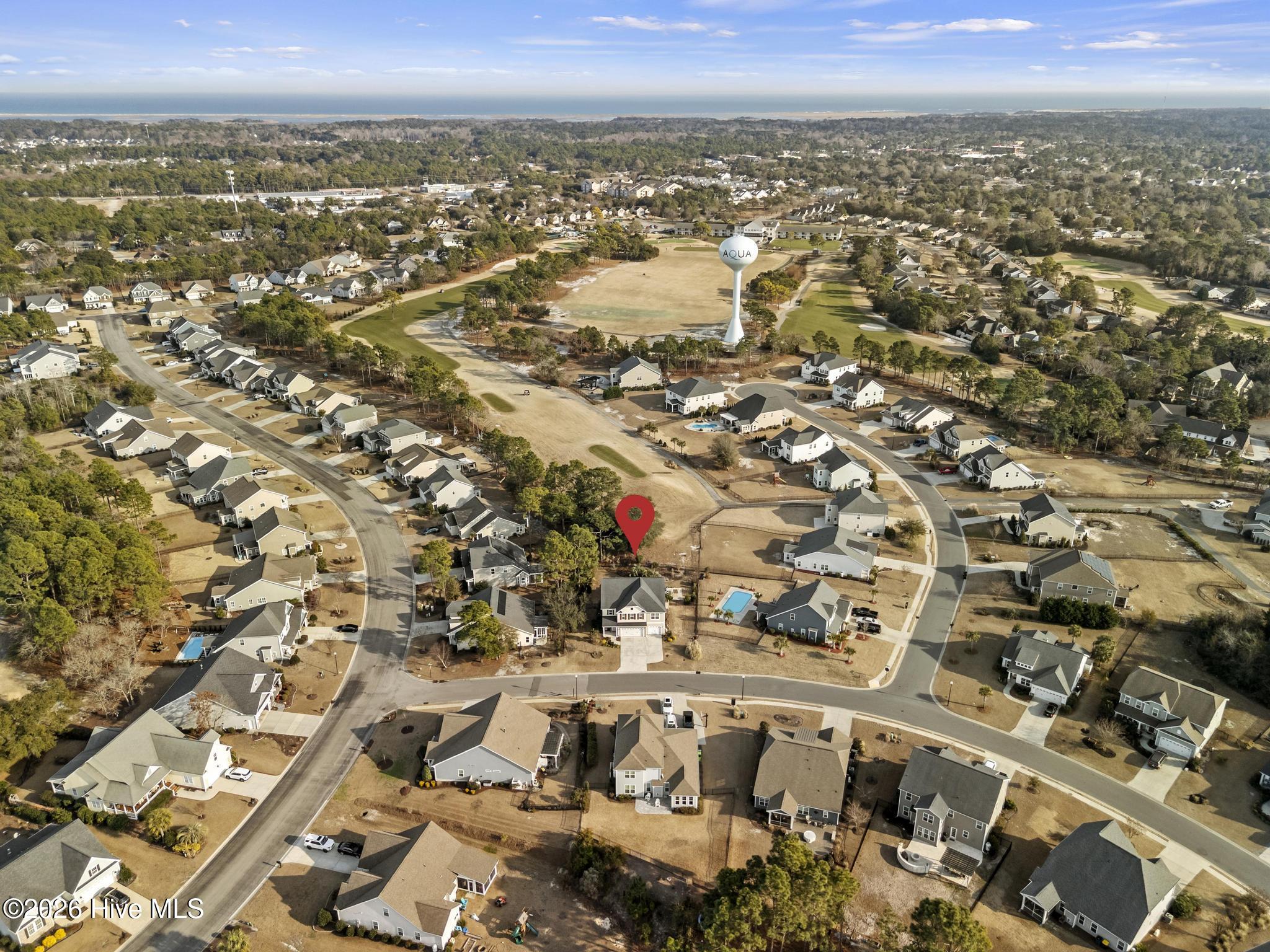 100554493 | Photo 59