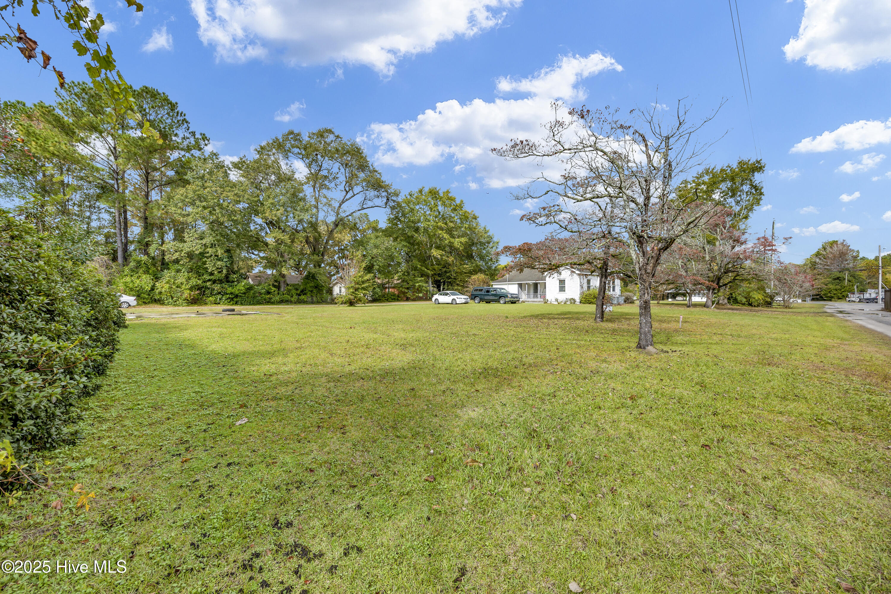 100539441 | Photo 13