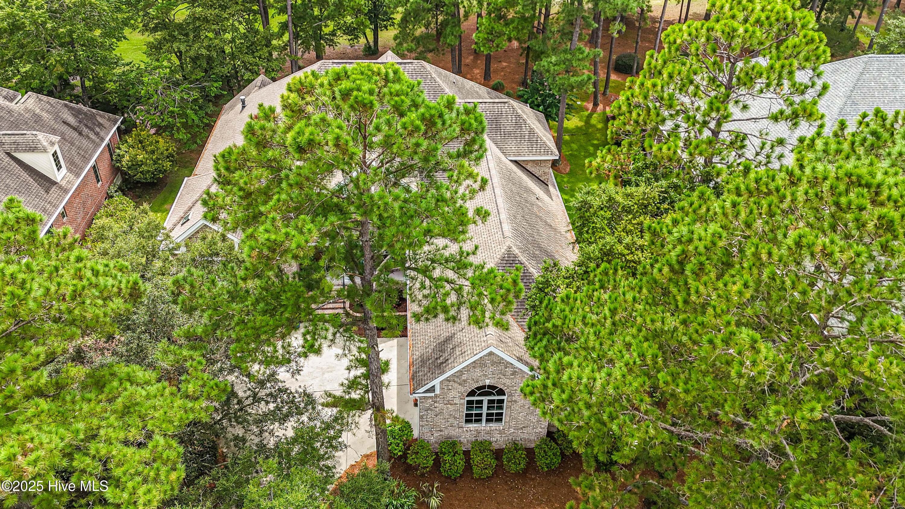 100549675 | Photo 60