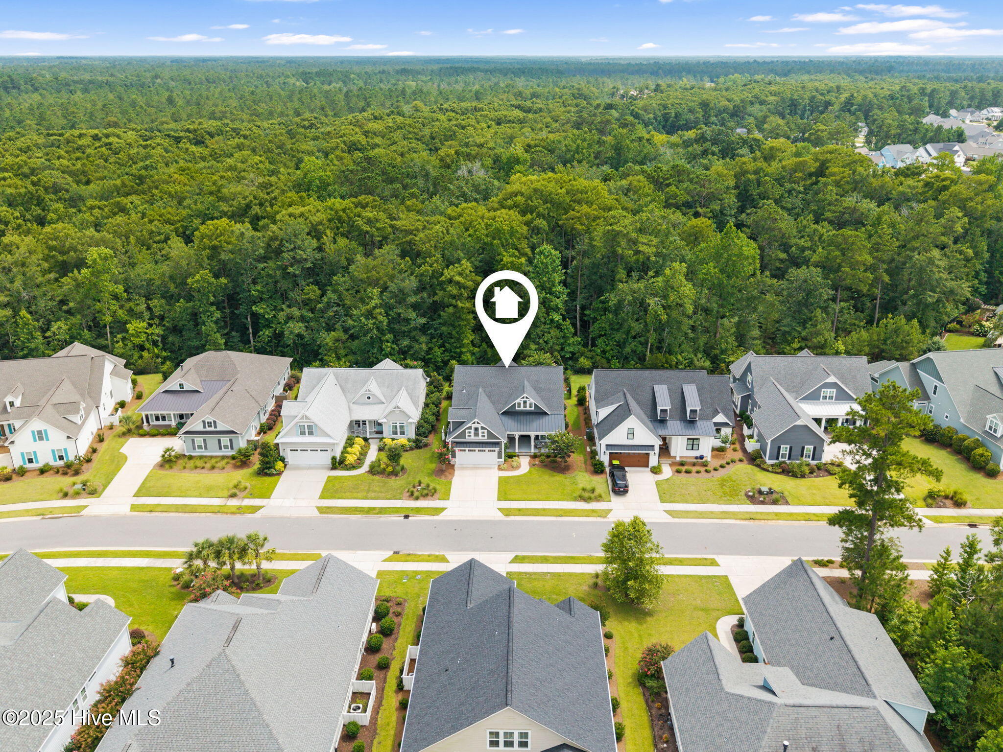 100529487 | Photo 39