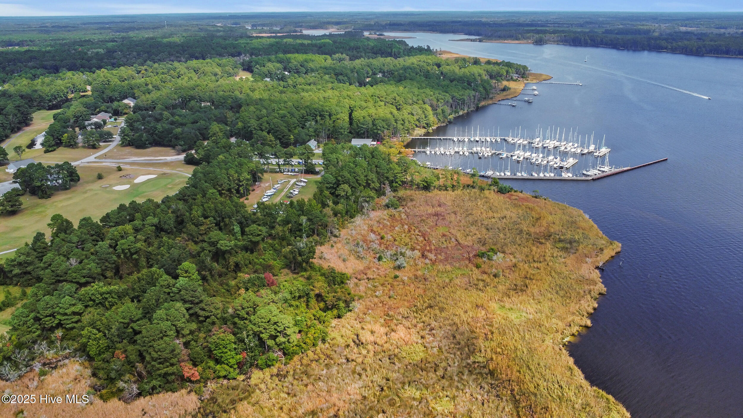 100535721 | Photo 29