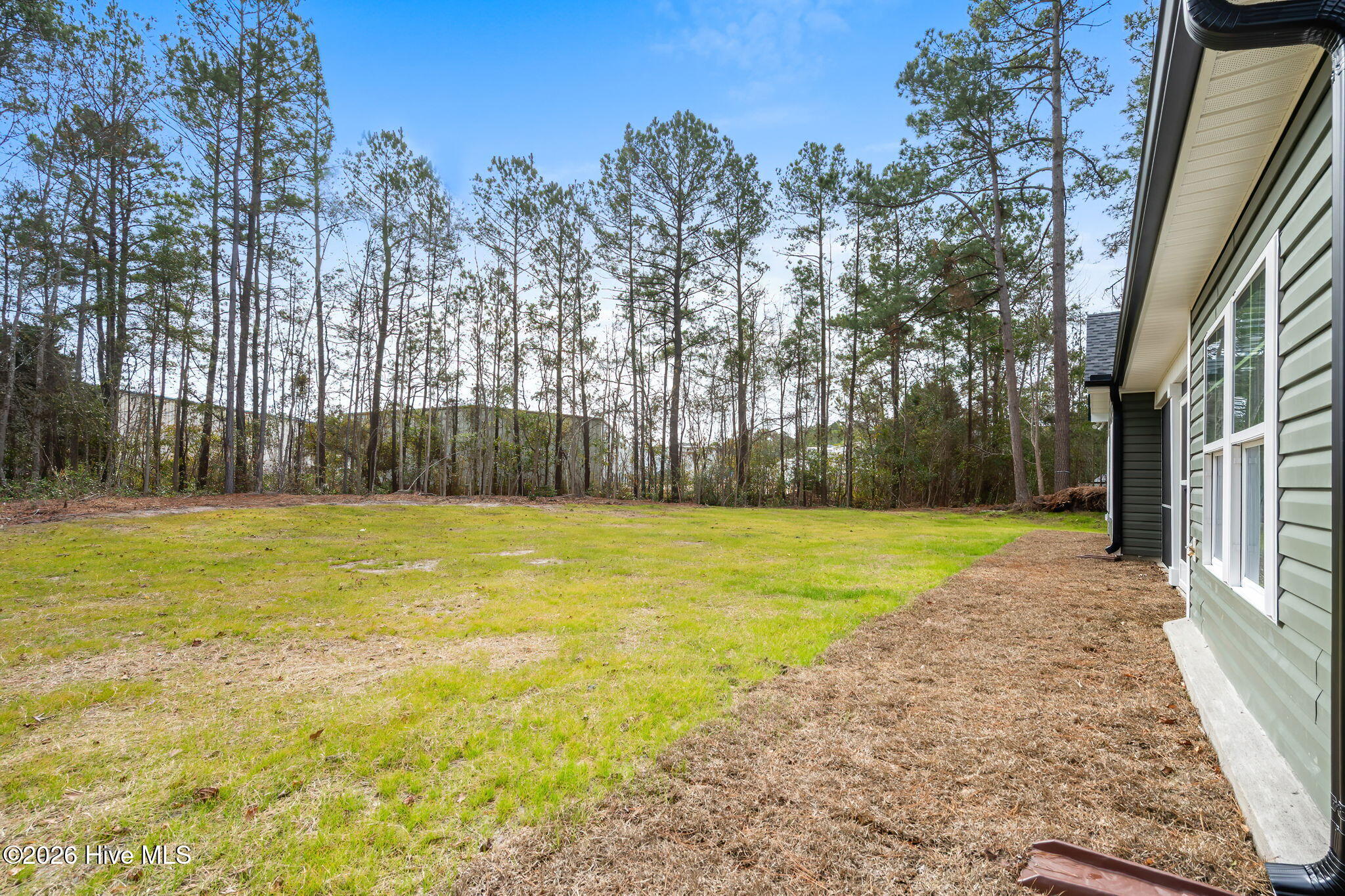 100513305 | Photo 25