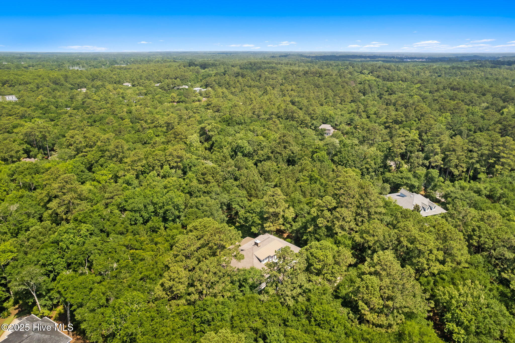 100512246 | Photo 87