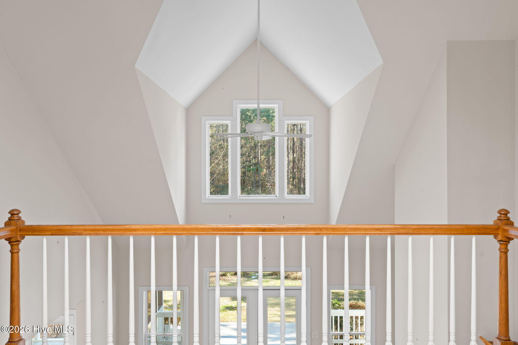 100551669 | Photo 50