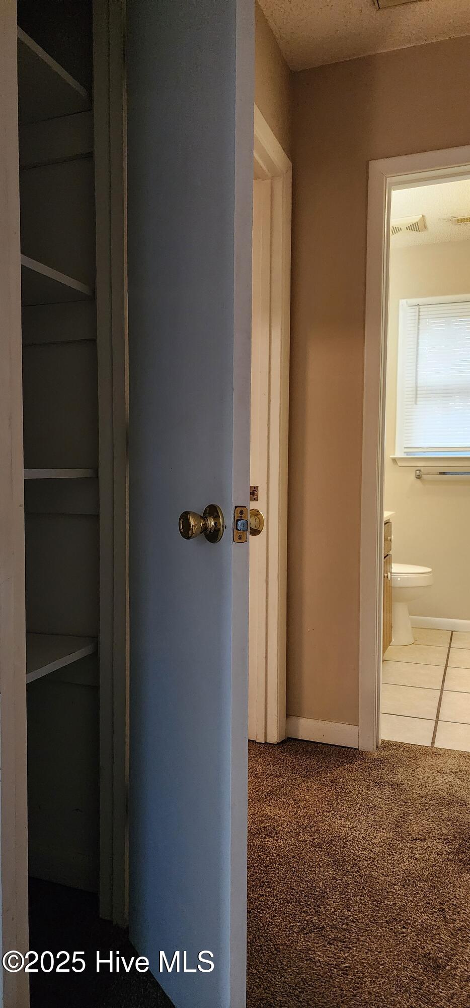 100533797 | Photo 17