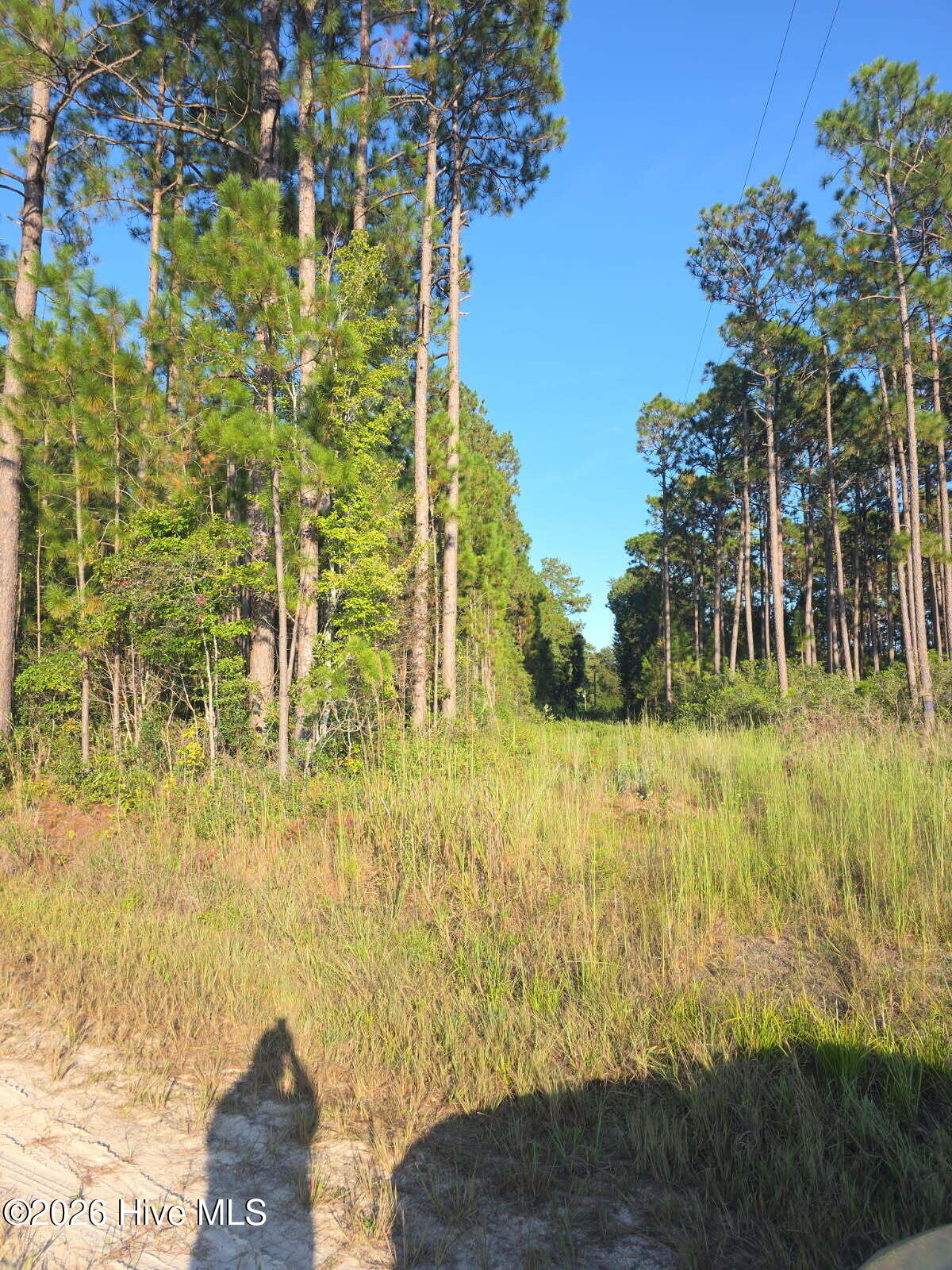 10.57 Ac Egypt Road NW, Ash, NC, 28420