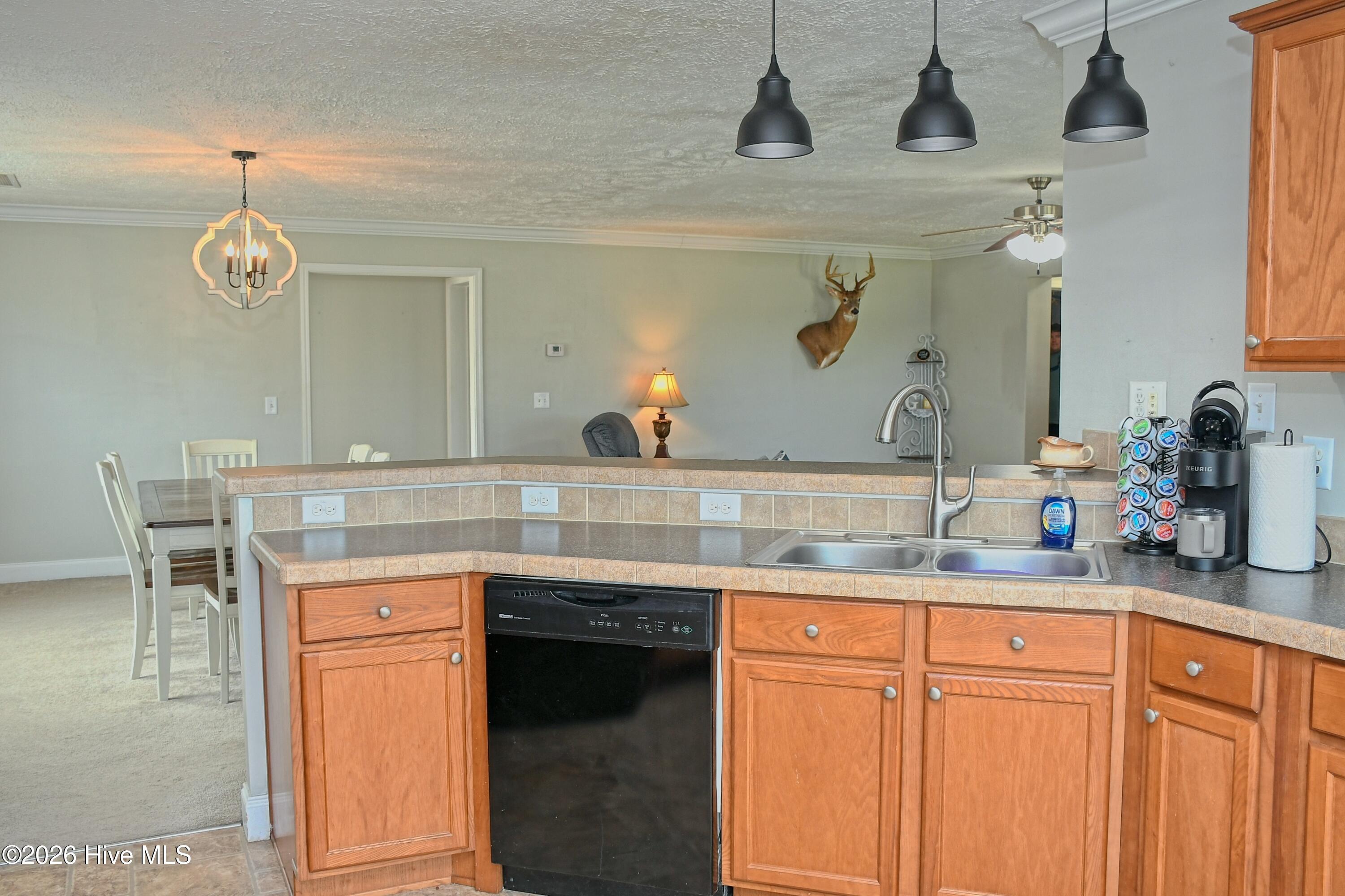 100565846 | Photo 16