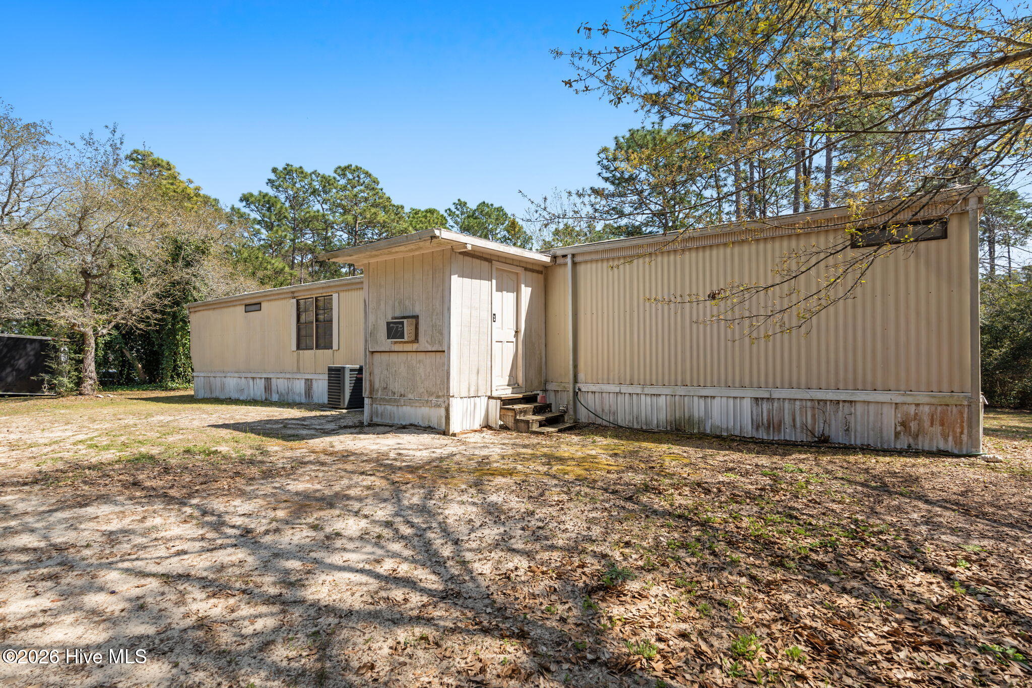 100564751 | Photo 38