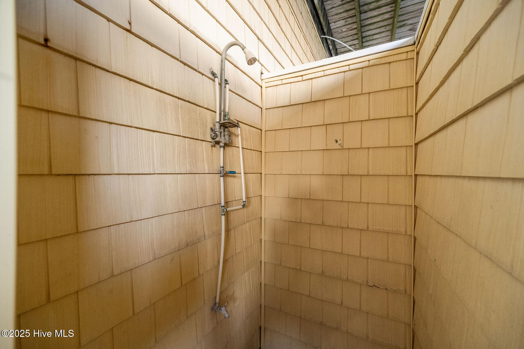 100537355 | Photo 50