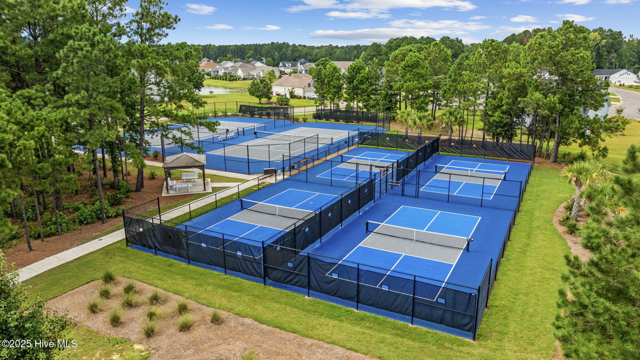 100523904 | Photo 49