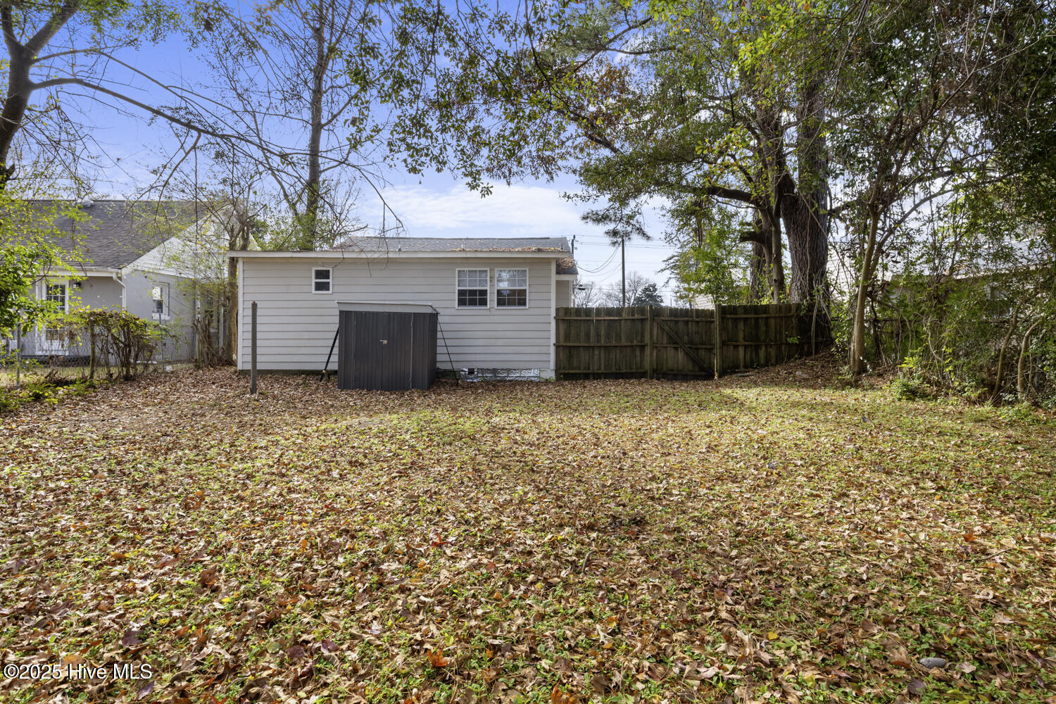 100546877 | Photo 23