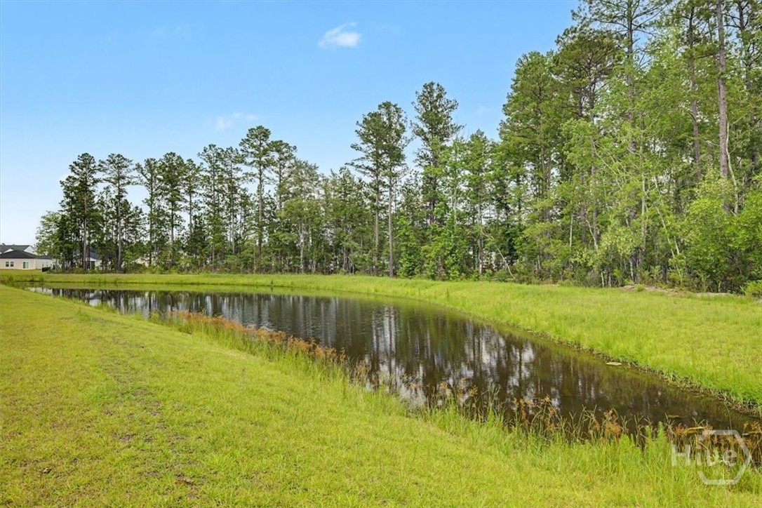 Green space / common area with a pond behind the home