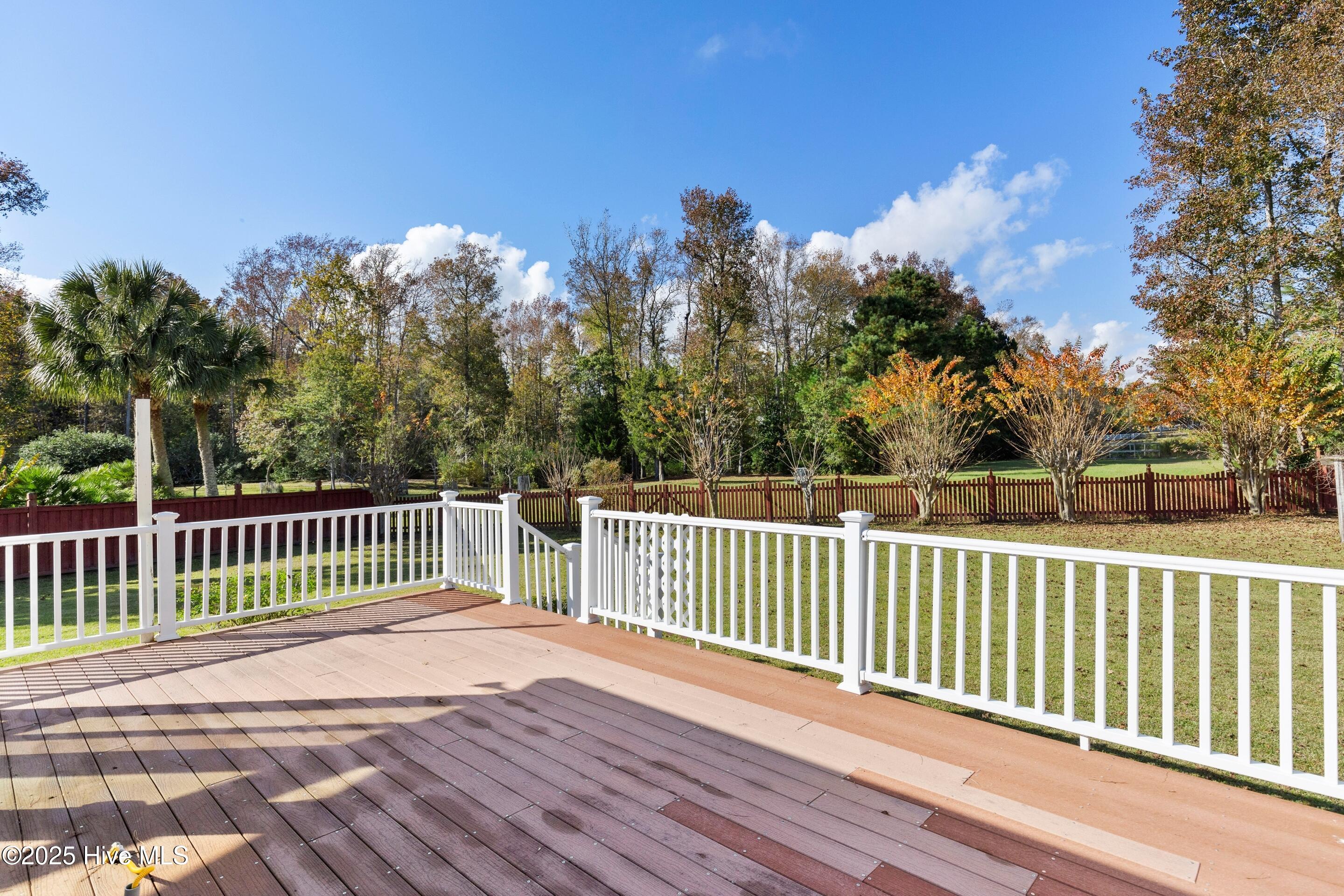 100540586 | Photo 52