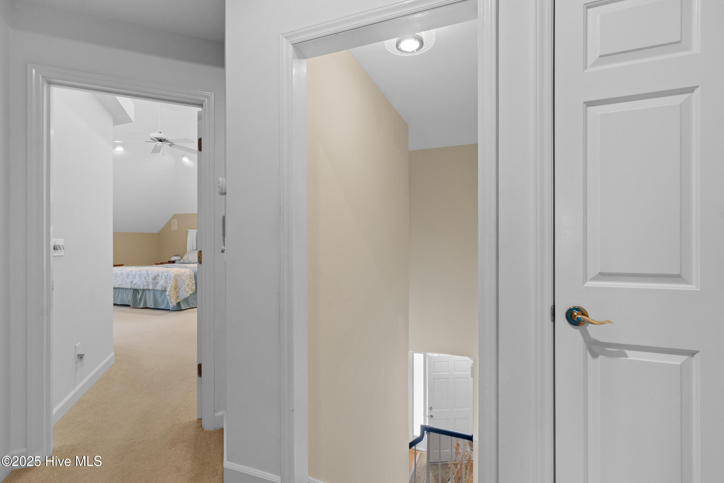 100541075 | Photo 28