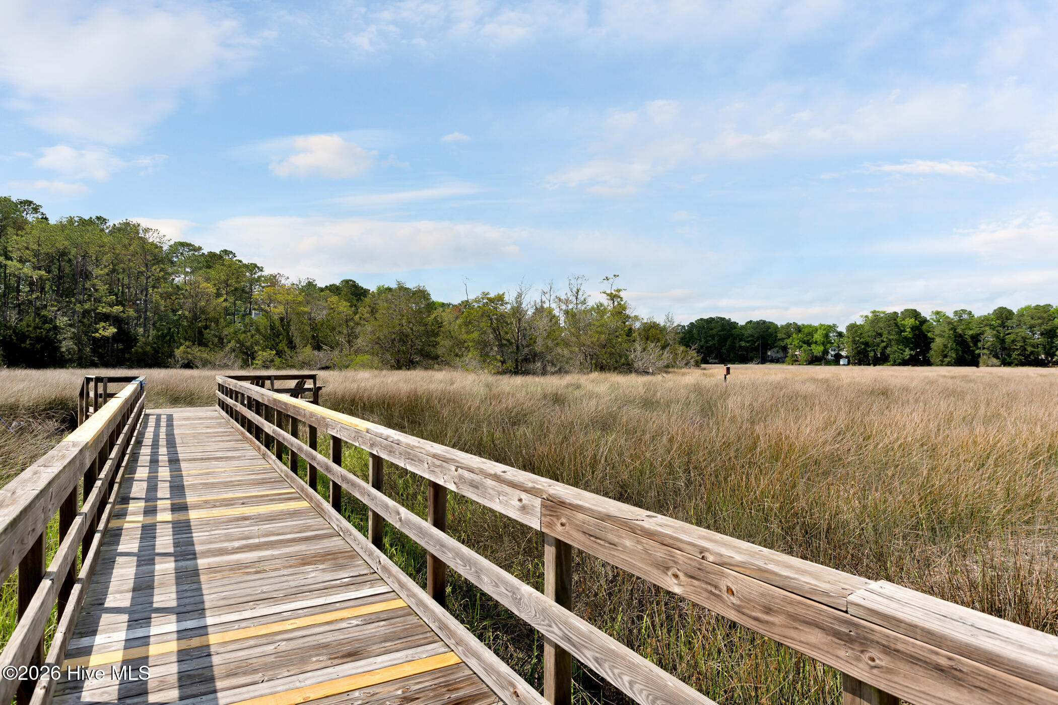 100554068 | Photo 61