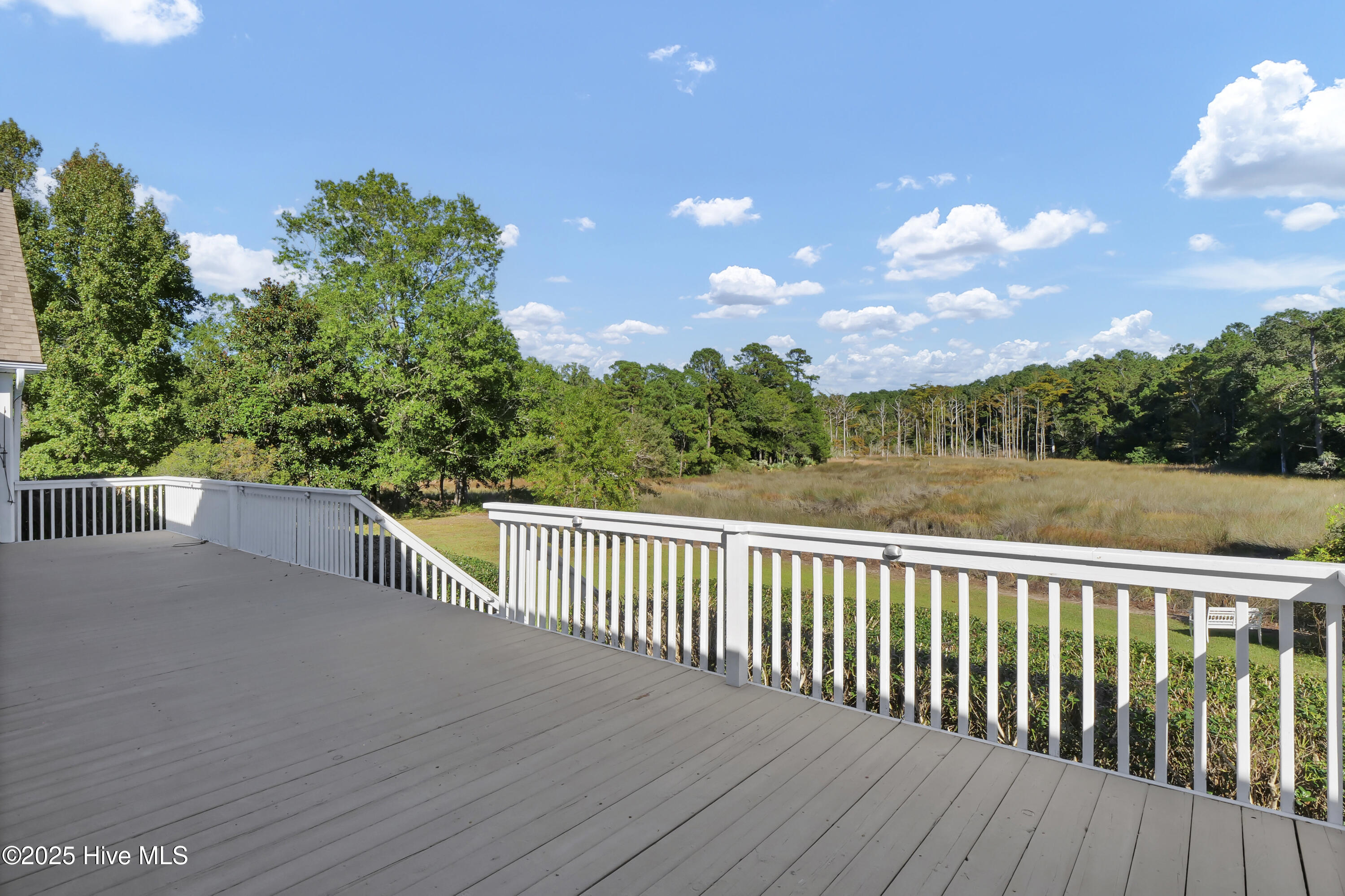 100556880 | Photo 45