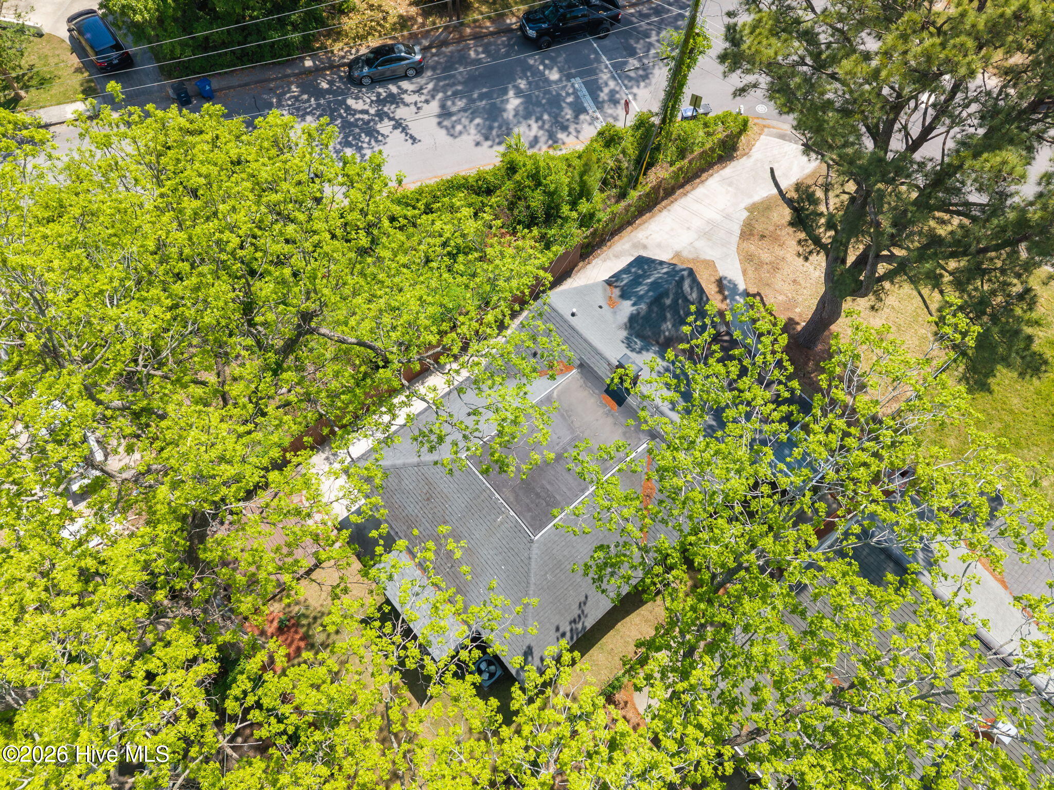 100568668 | Photo 44