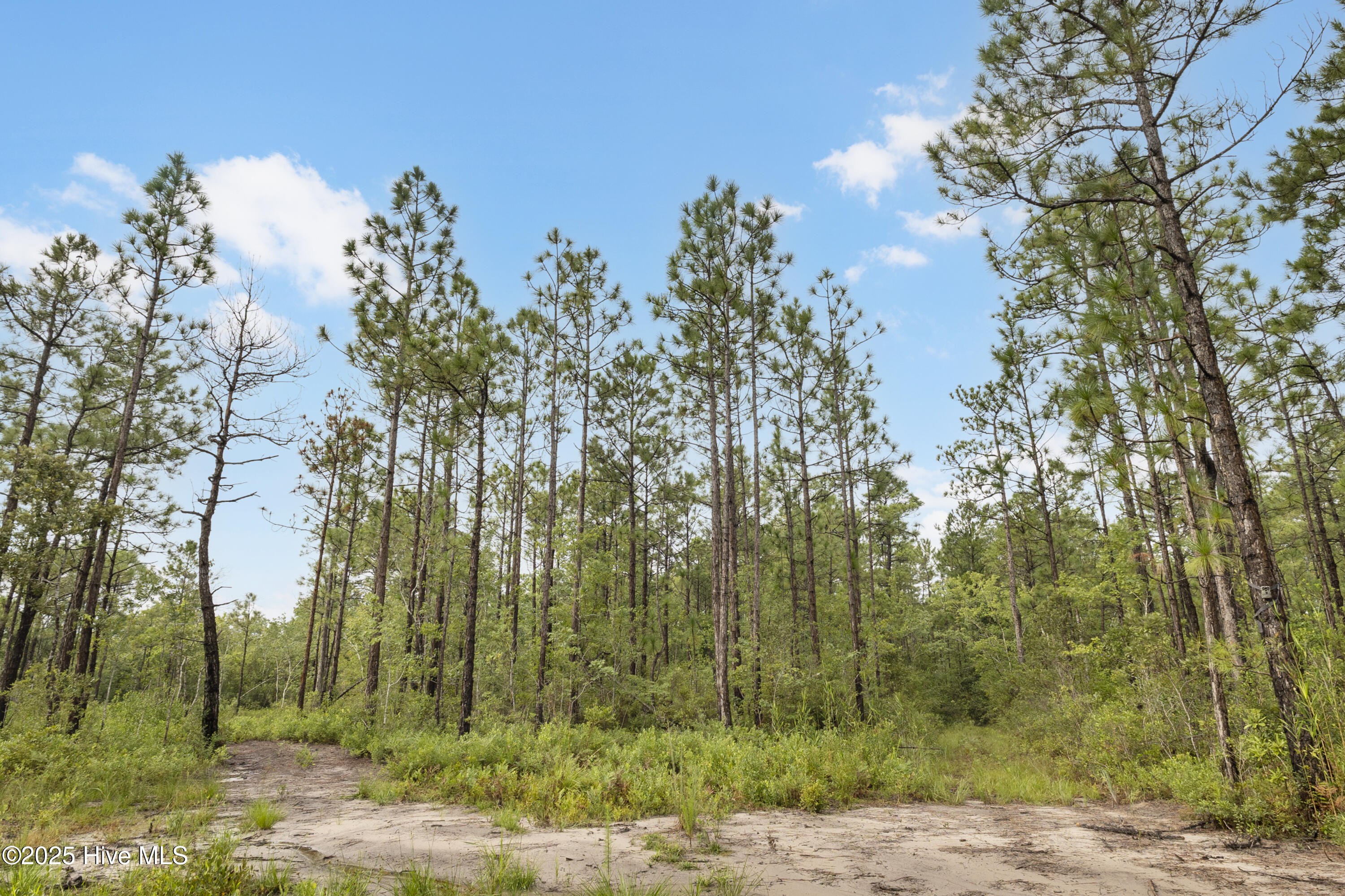 100525966 | Photo 11