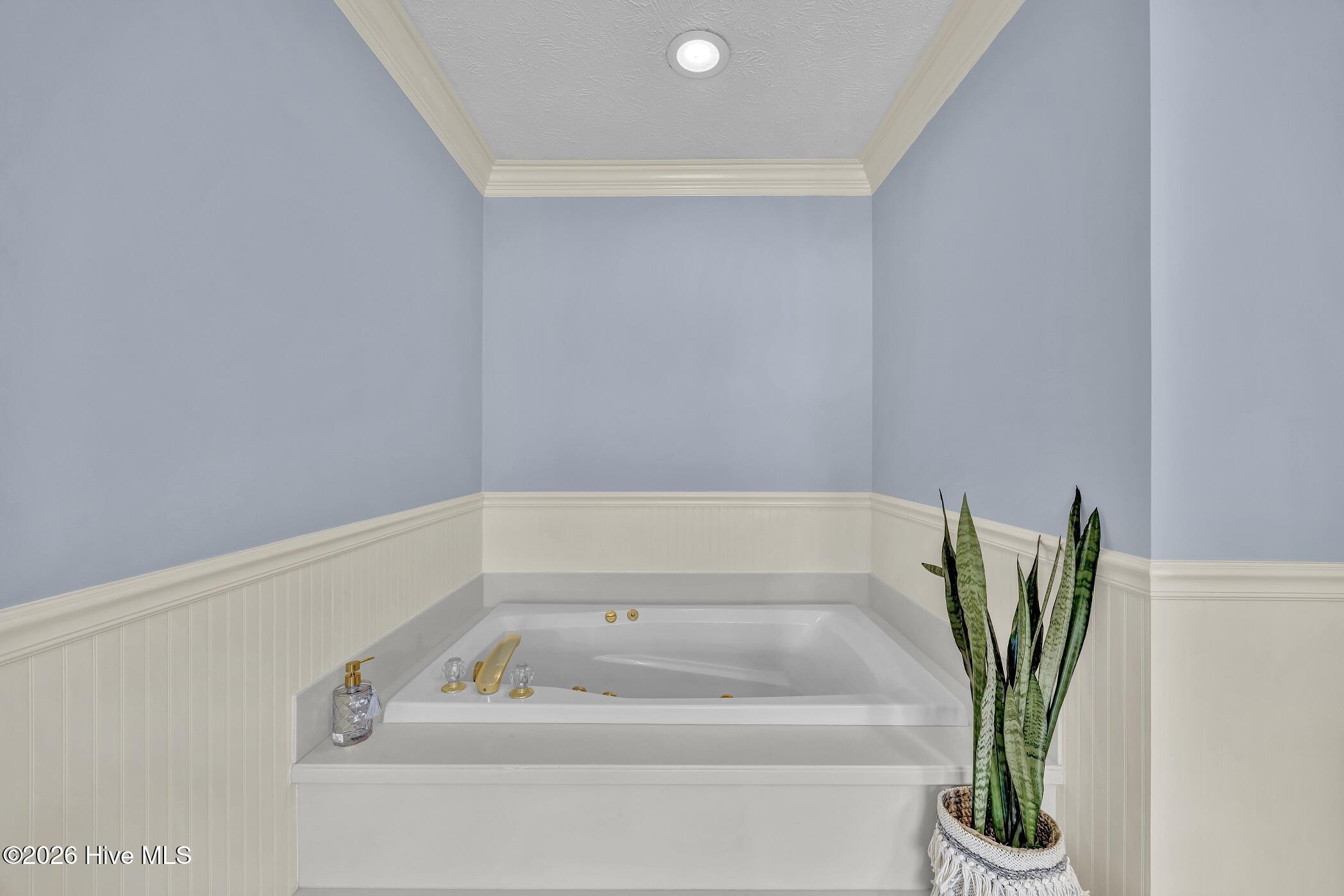 100565021 | Photo 27