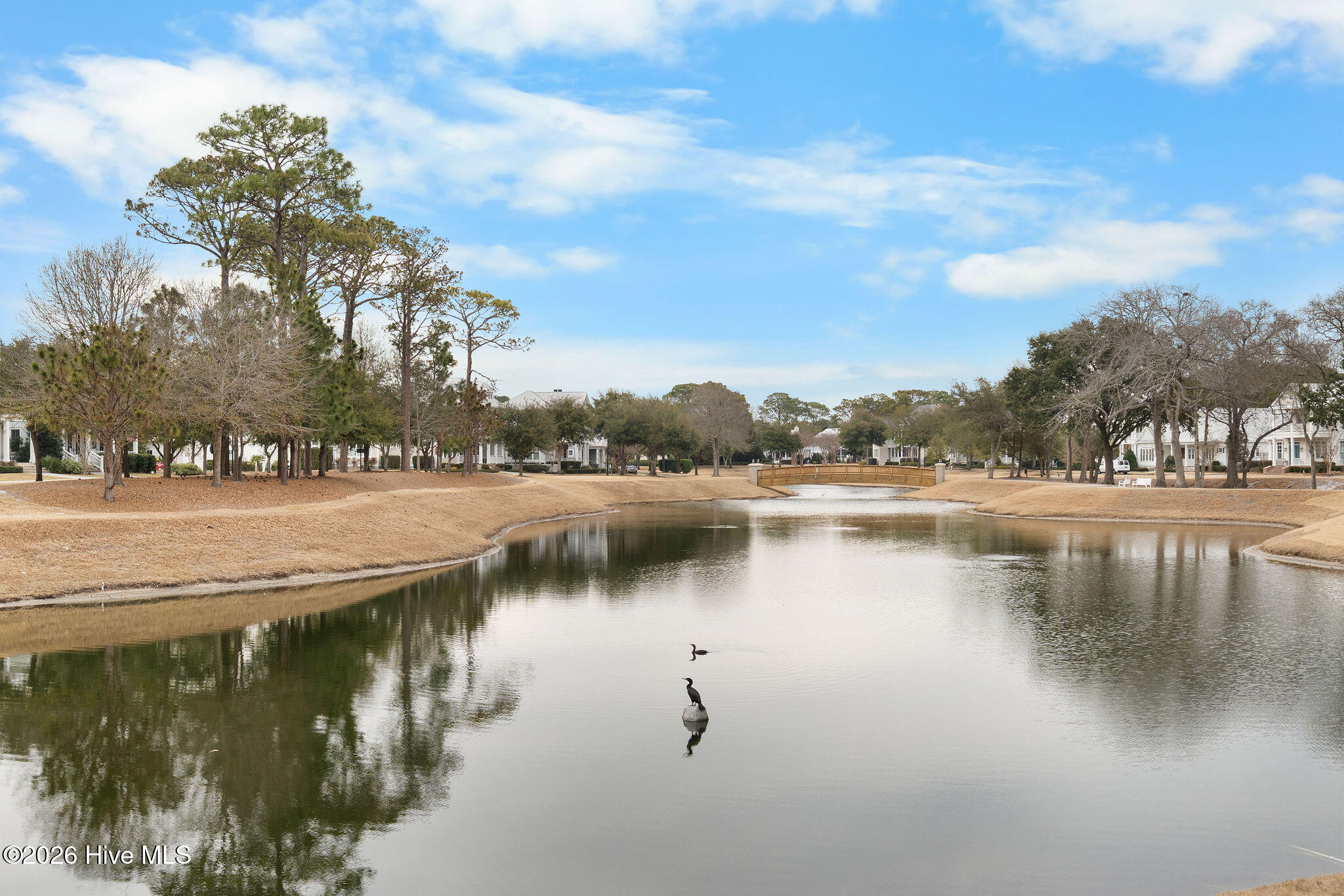 100553604 | Photo 85