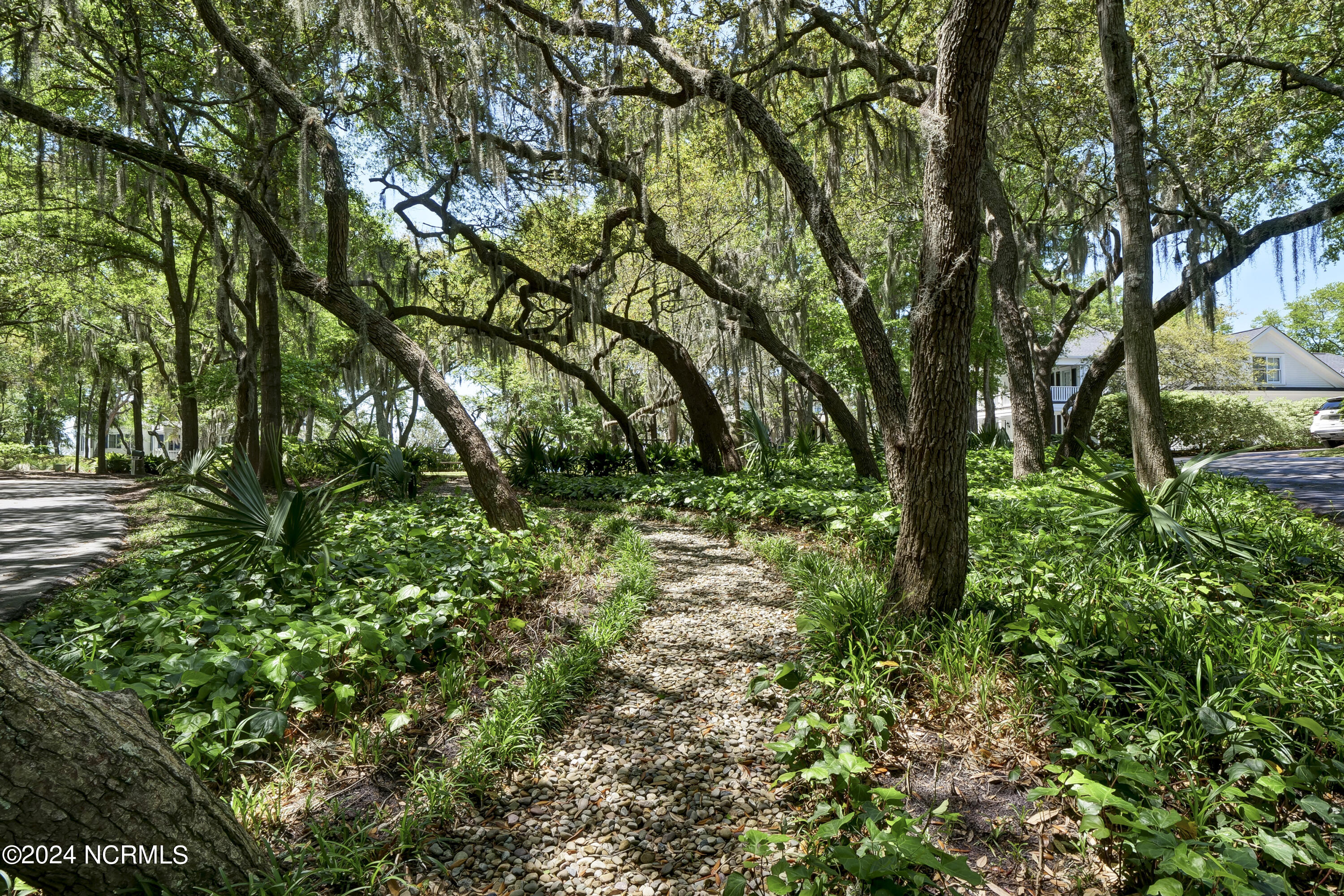 100440899 | Photo 19