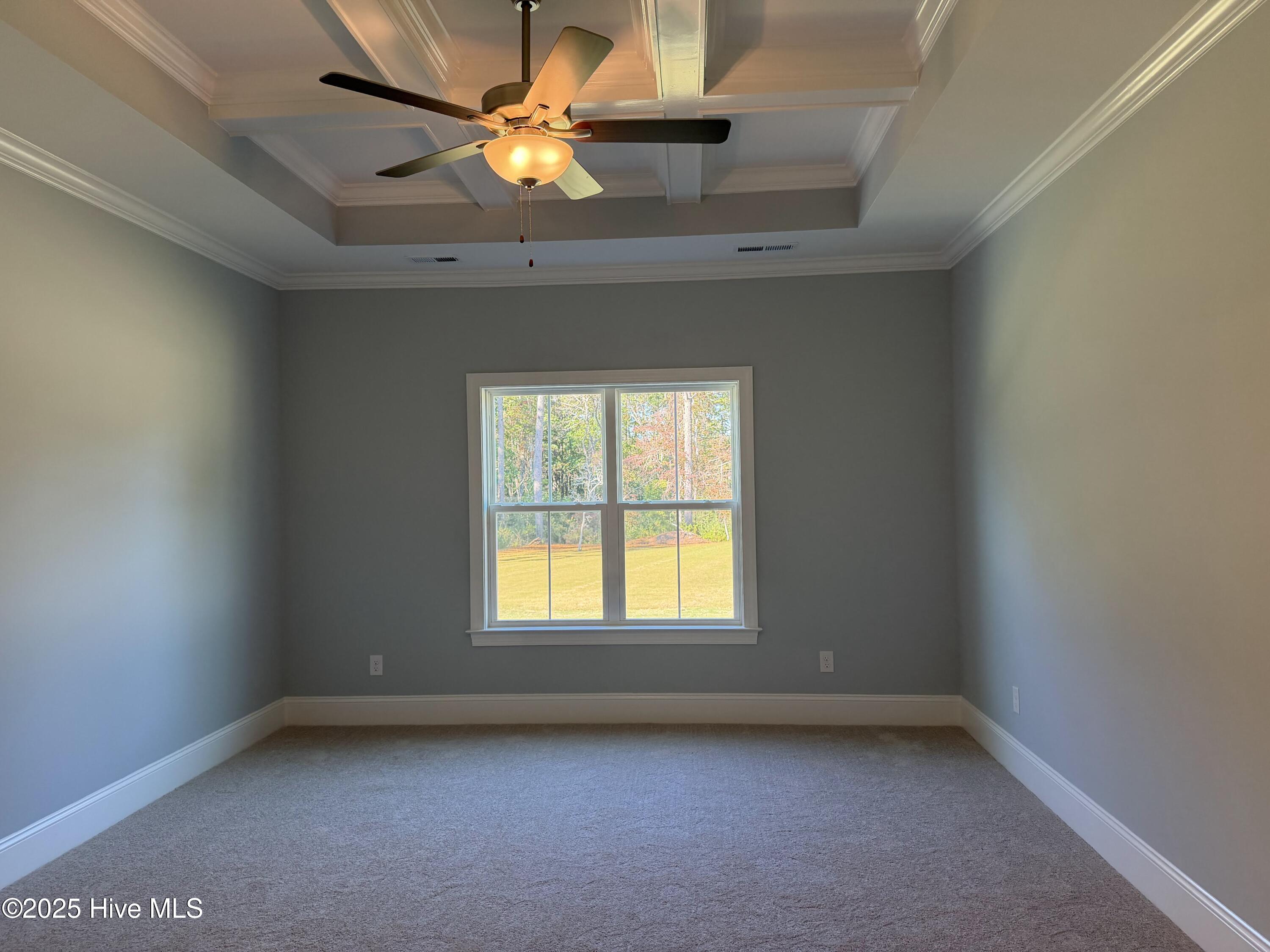 100510307 | Photo 10