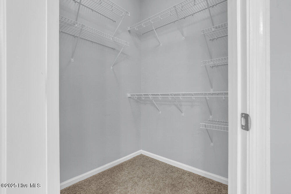 100520974 | Photo 16