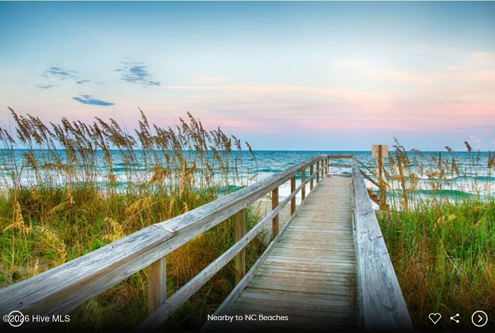 100557133 | Photo 16