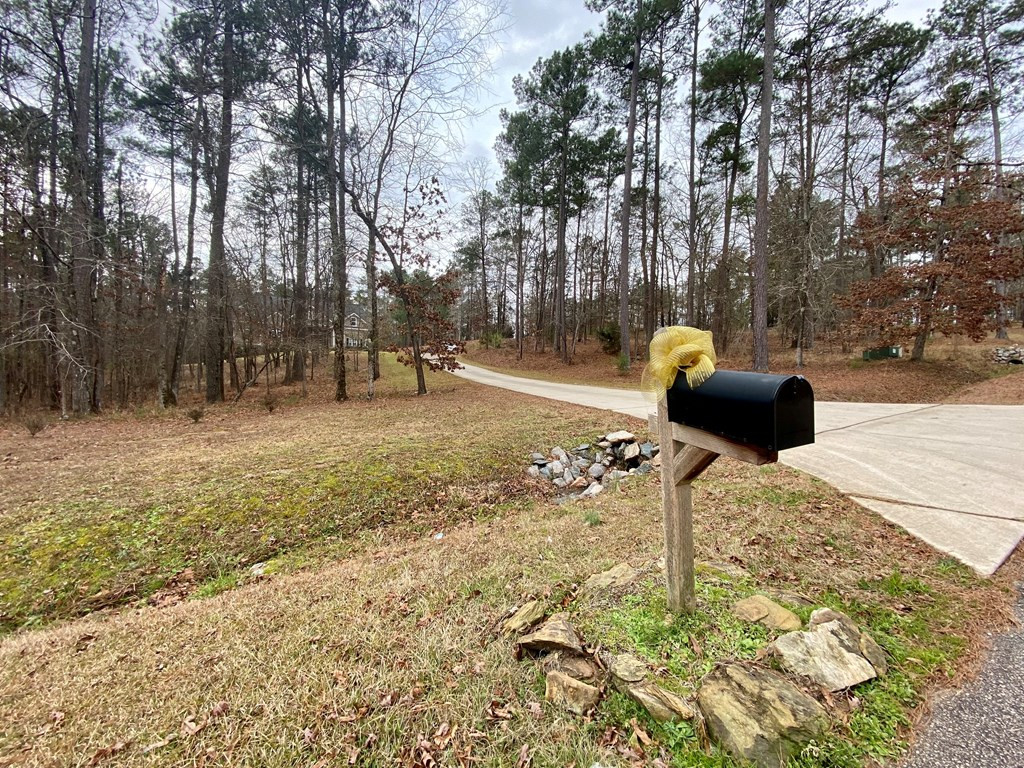 312 Walton Mill Road, Appling, GA 30802 Listing Photo  70