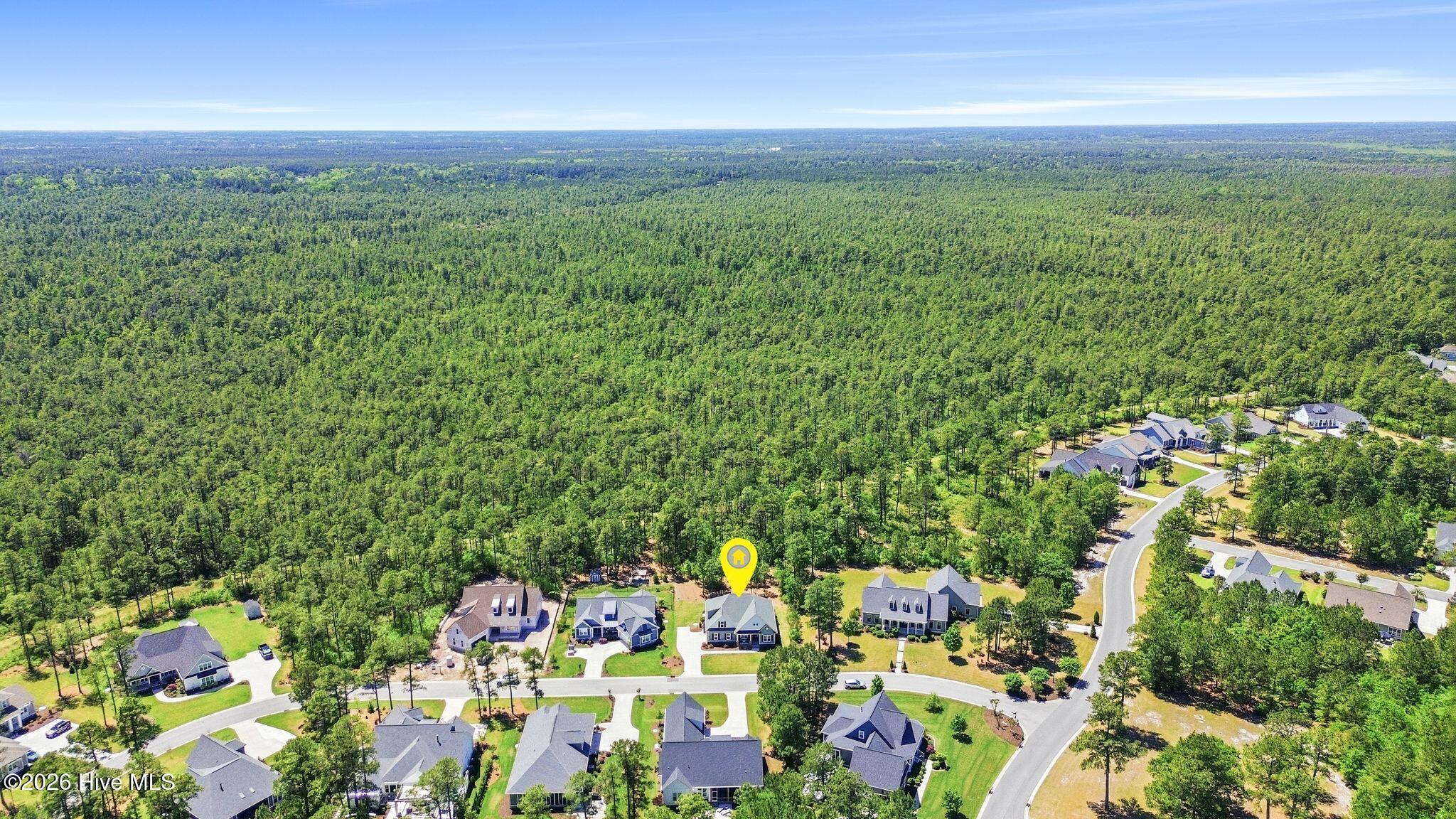 100569004 | Photo 86