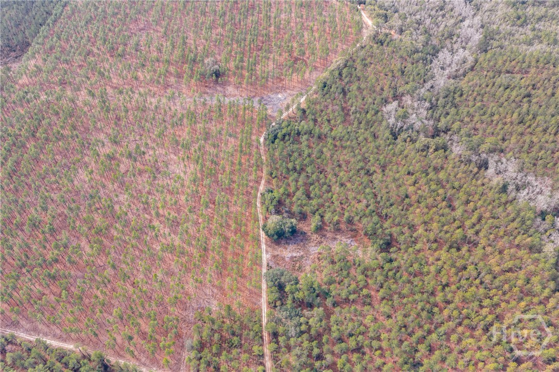 1000 Old River Road S, Brooklet, GA, 30415