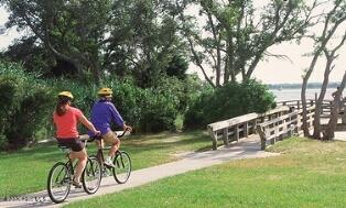 100554586 | Photo 41