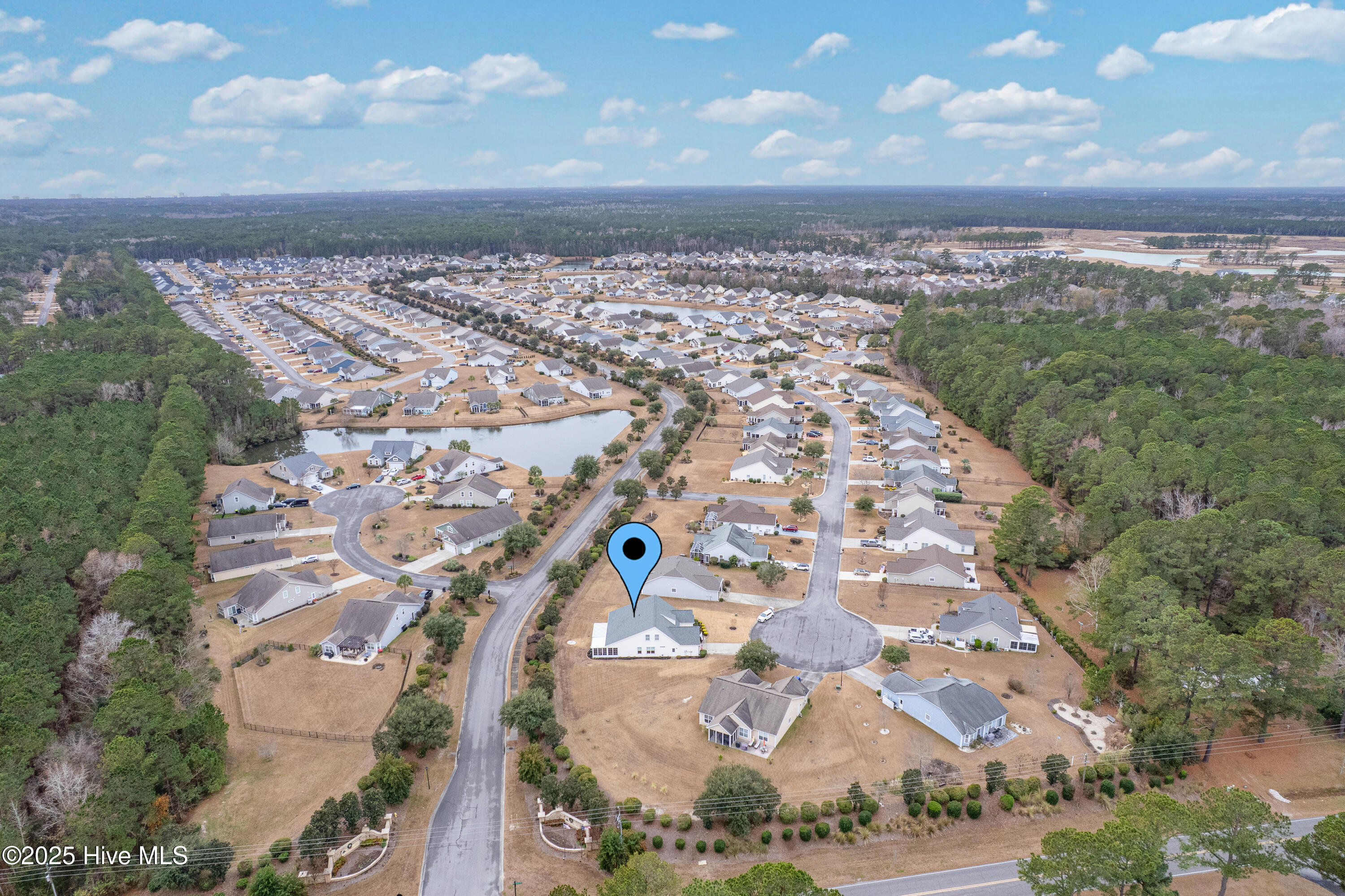 100547221 | Photo 45