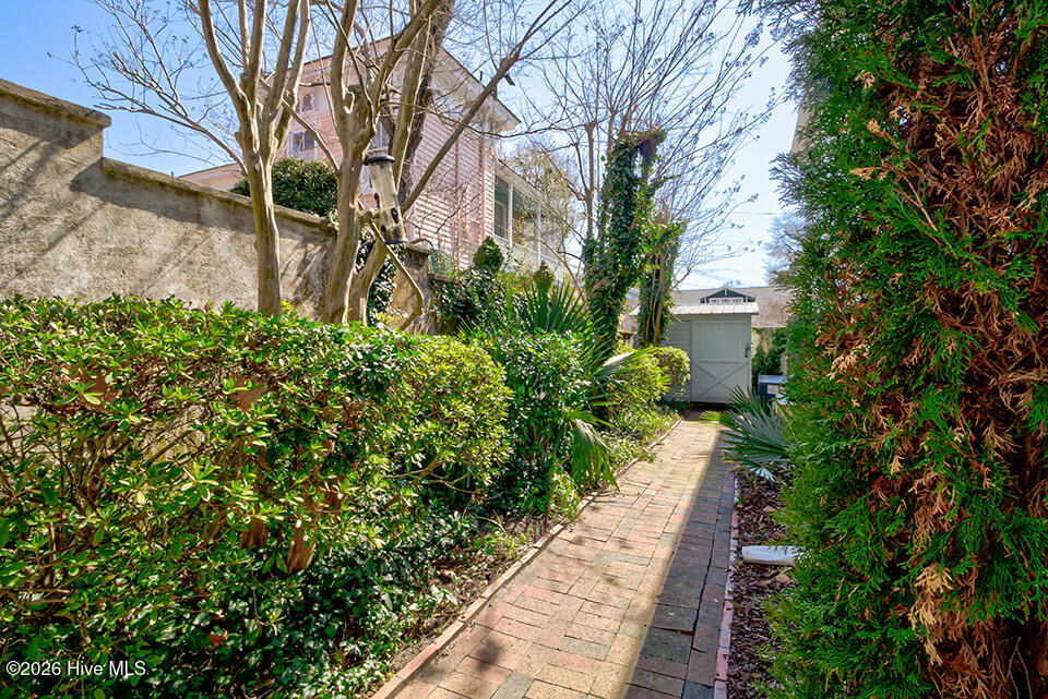 100557542 | Photo 34