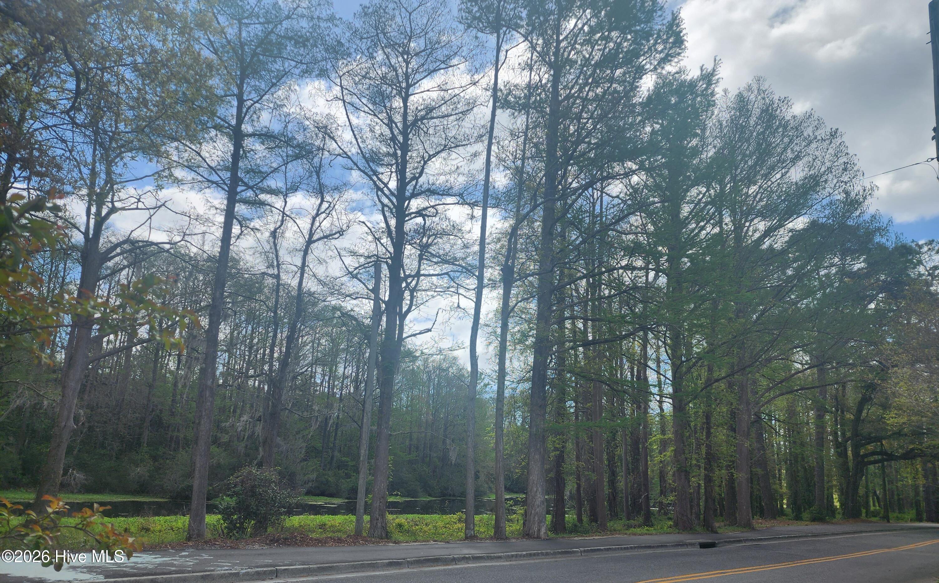 100564526 | Photo 13