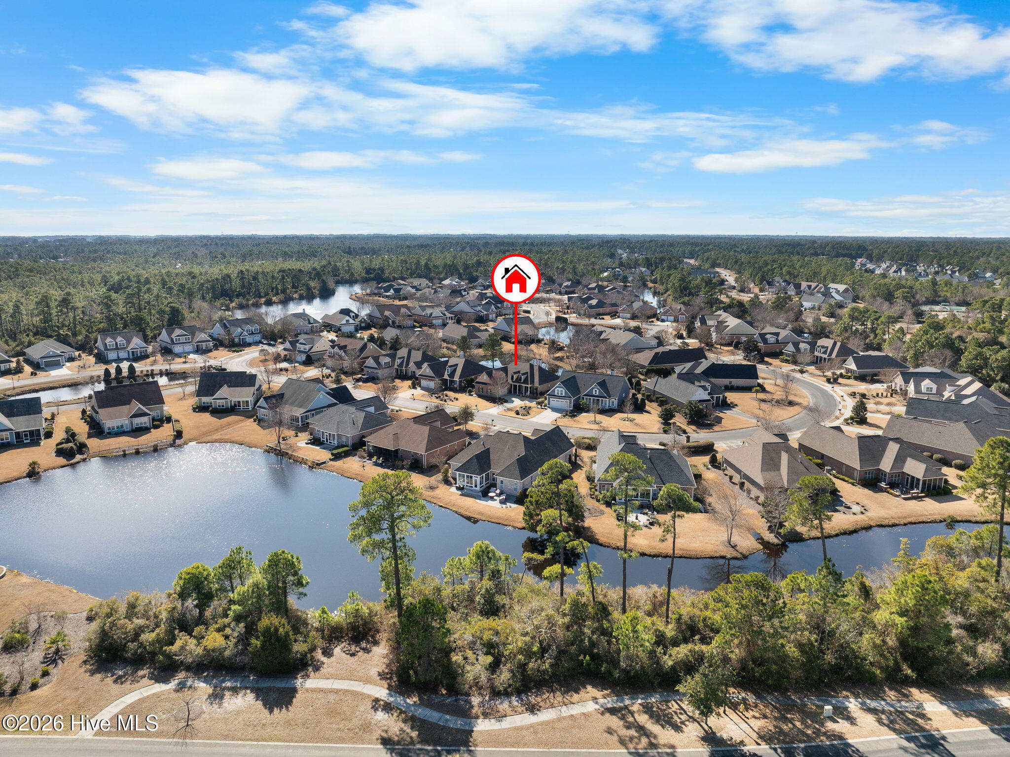 100564801 | Photo 45