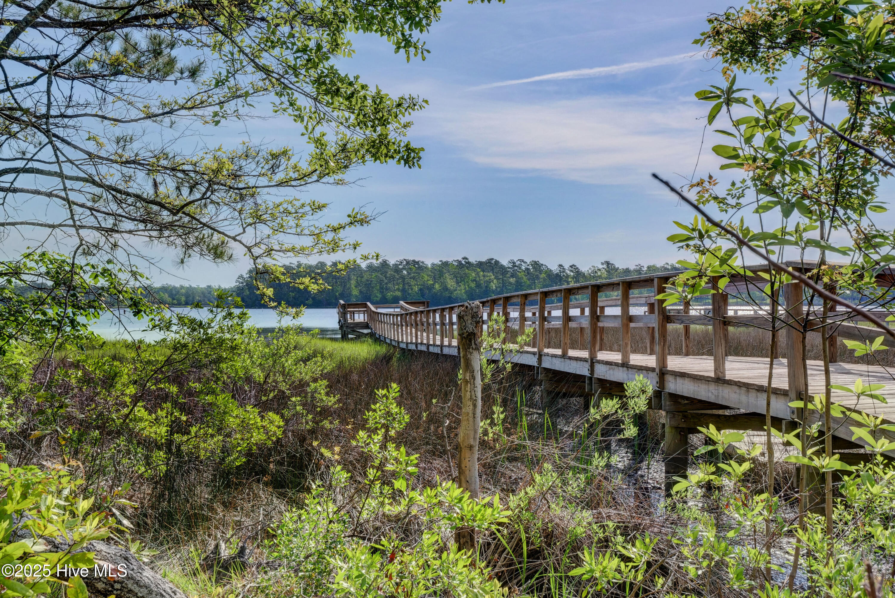 100532986 | Photo 59