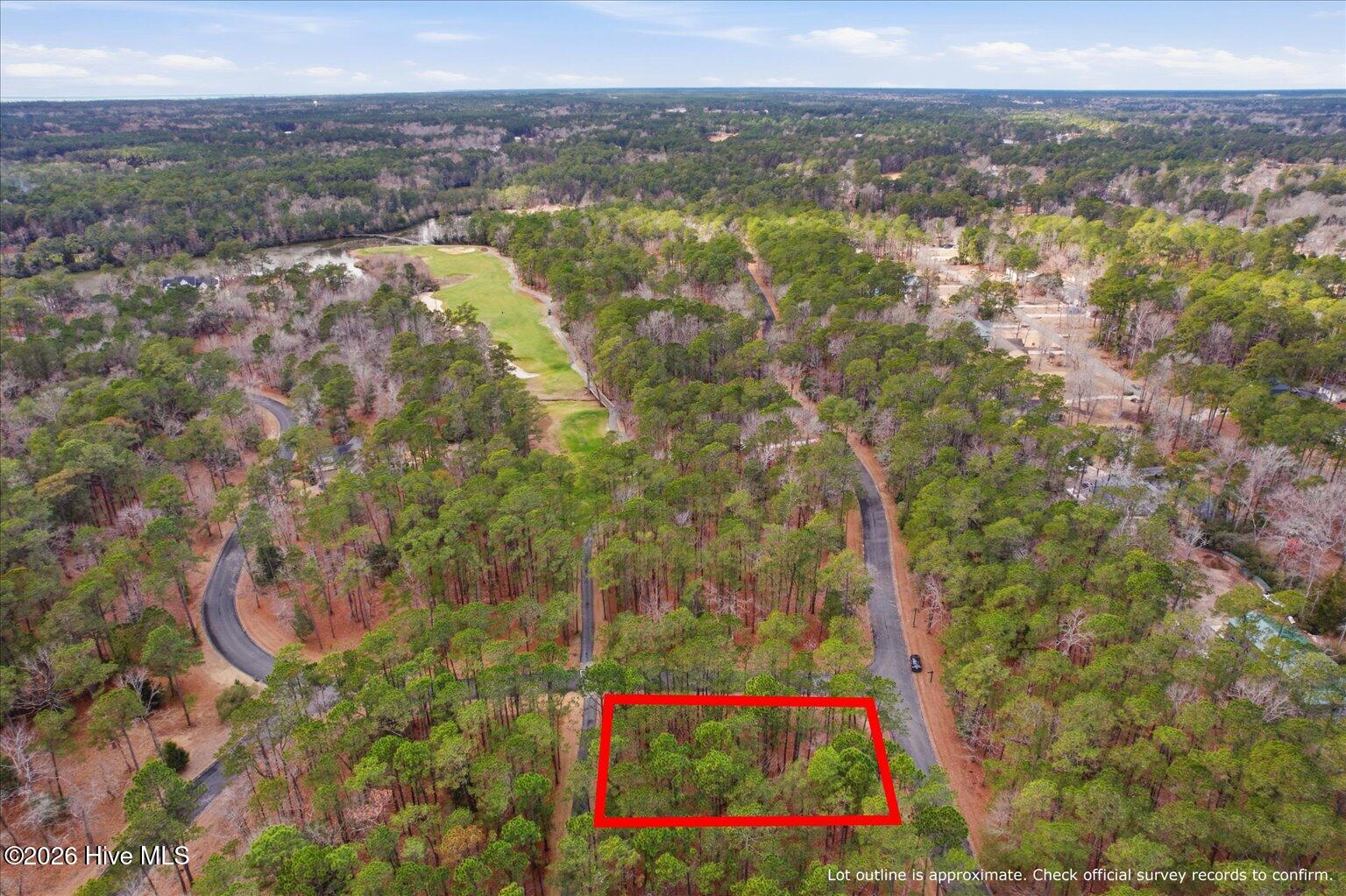 100555112 | Photo 58