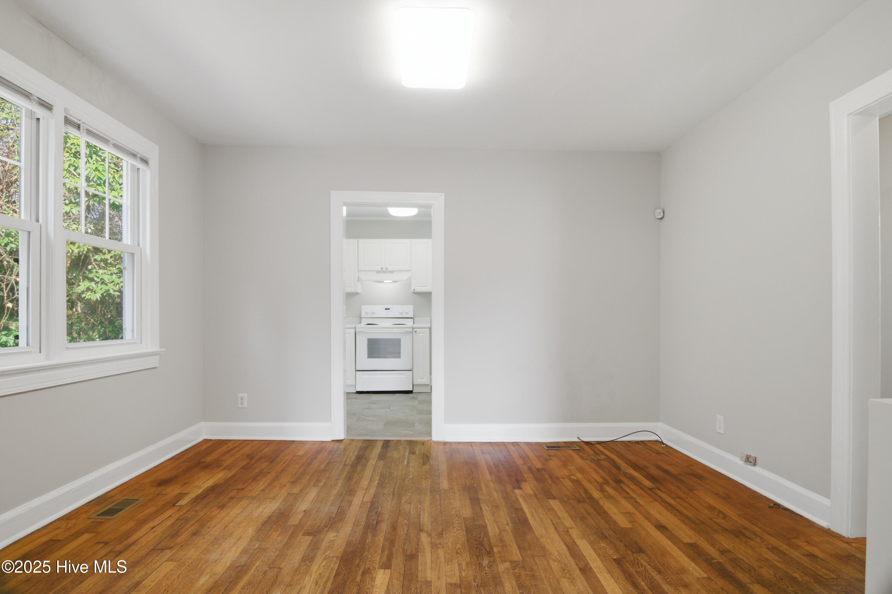 100546851 | Photo 10