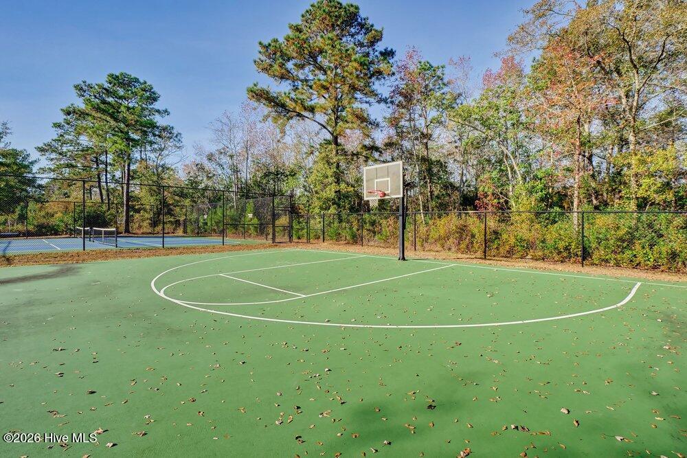 100561379 | Photo 97