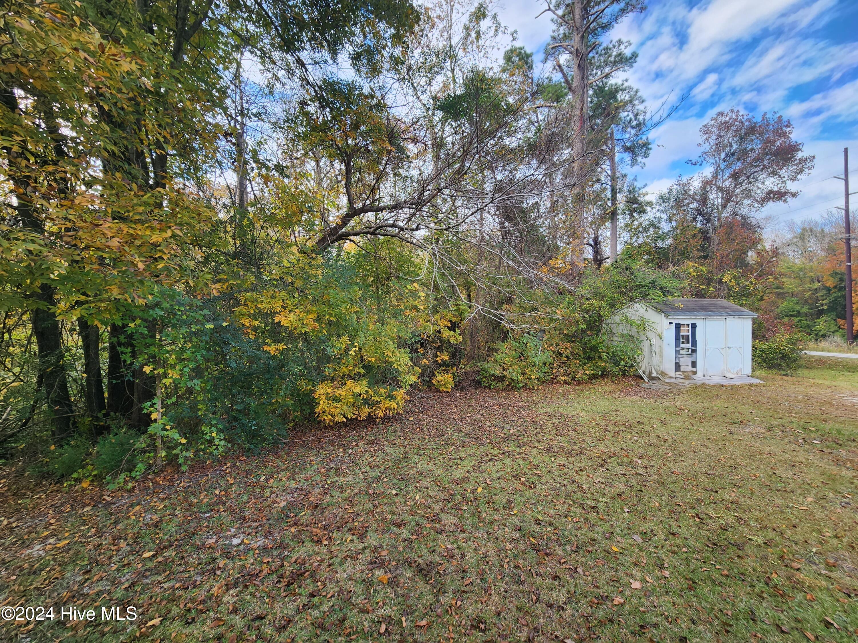 100477106 | Photo 19