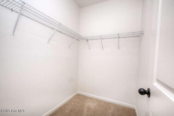 100527327 | Photo 36