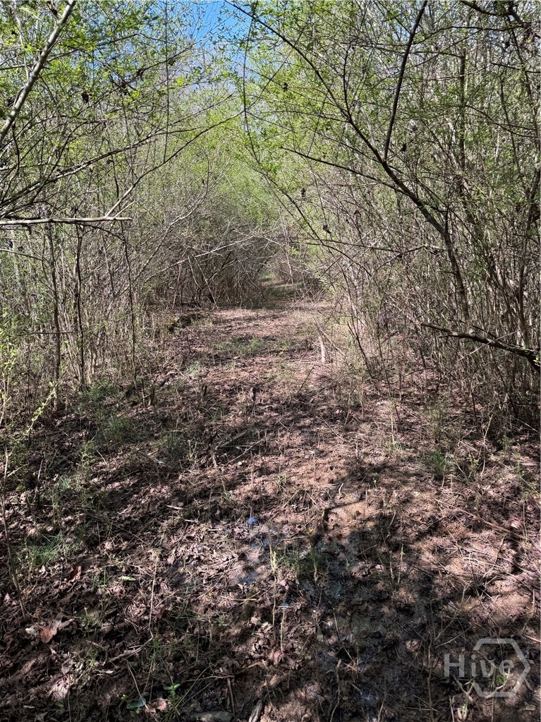 738 Old Mineral Springs Road, Elberton, GA, 30635