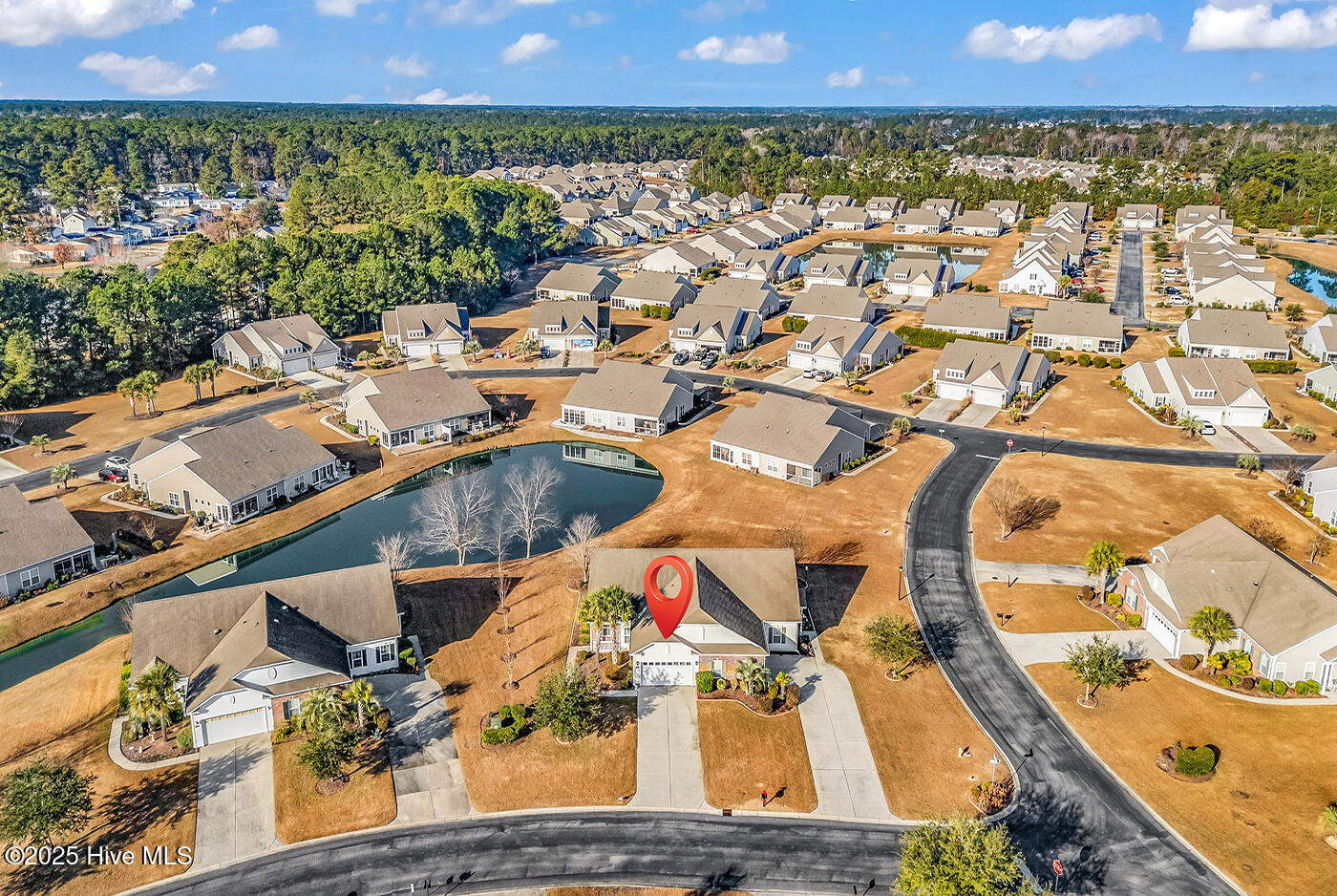 100545538 | Photo 38