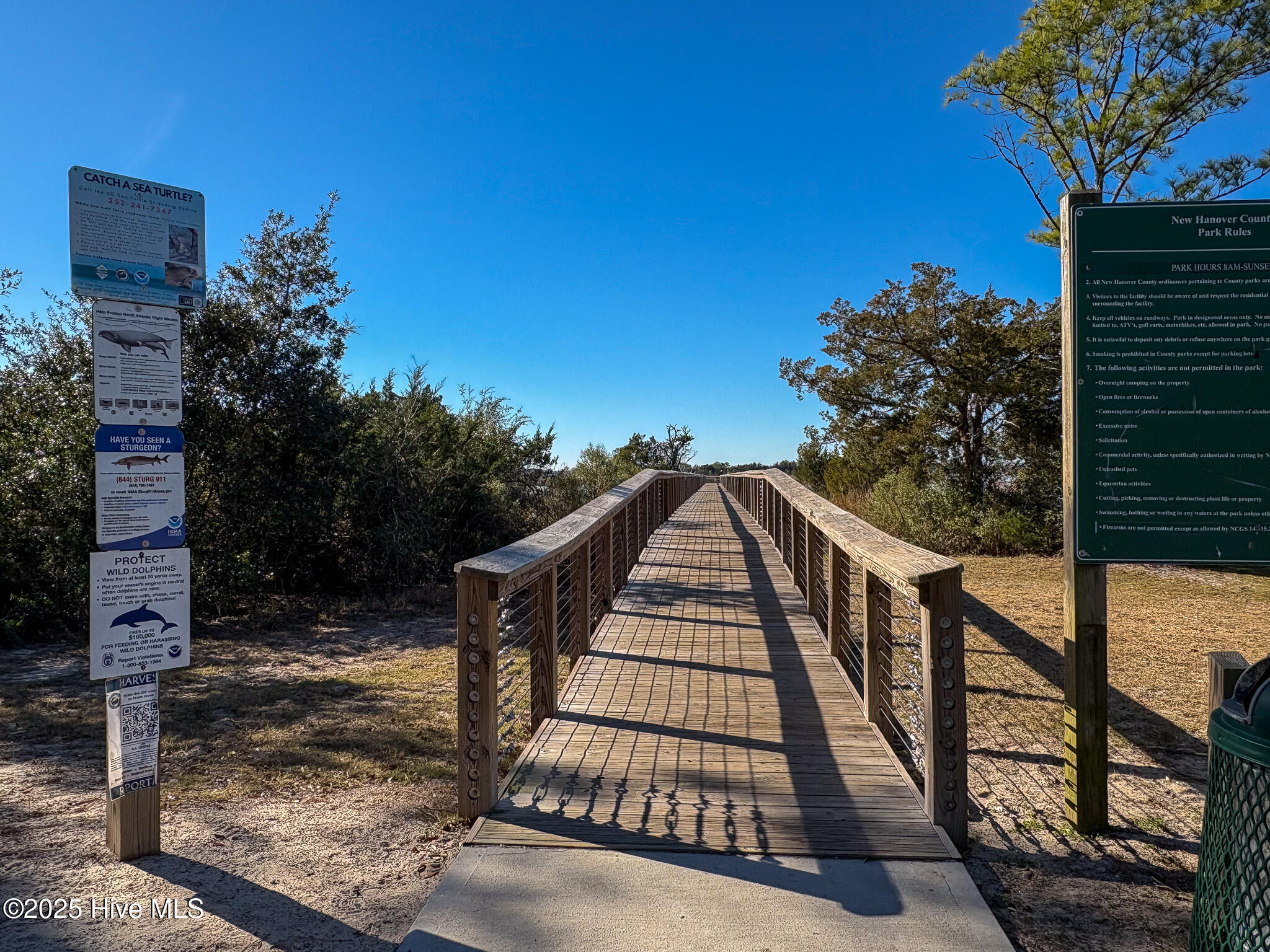 100545735 | Photo 19