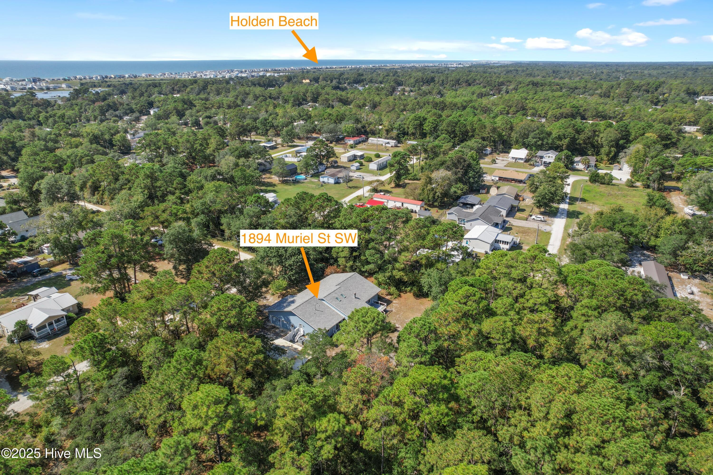 100533822 | Photo 57