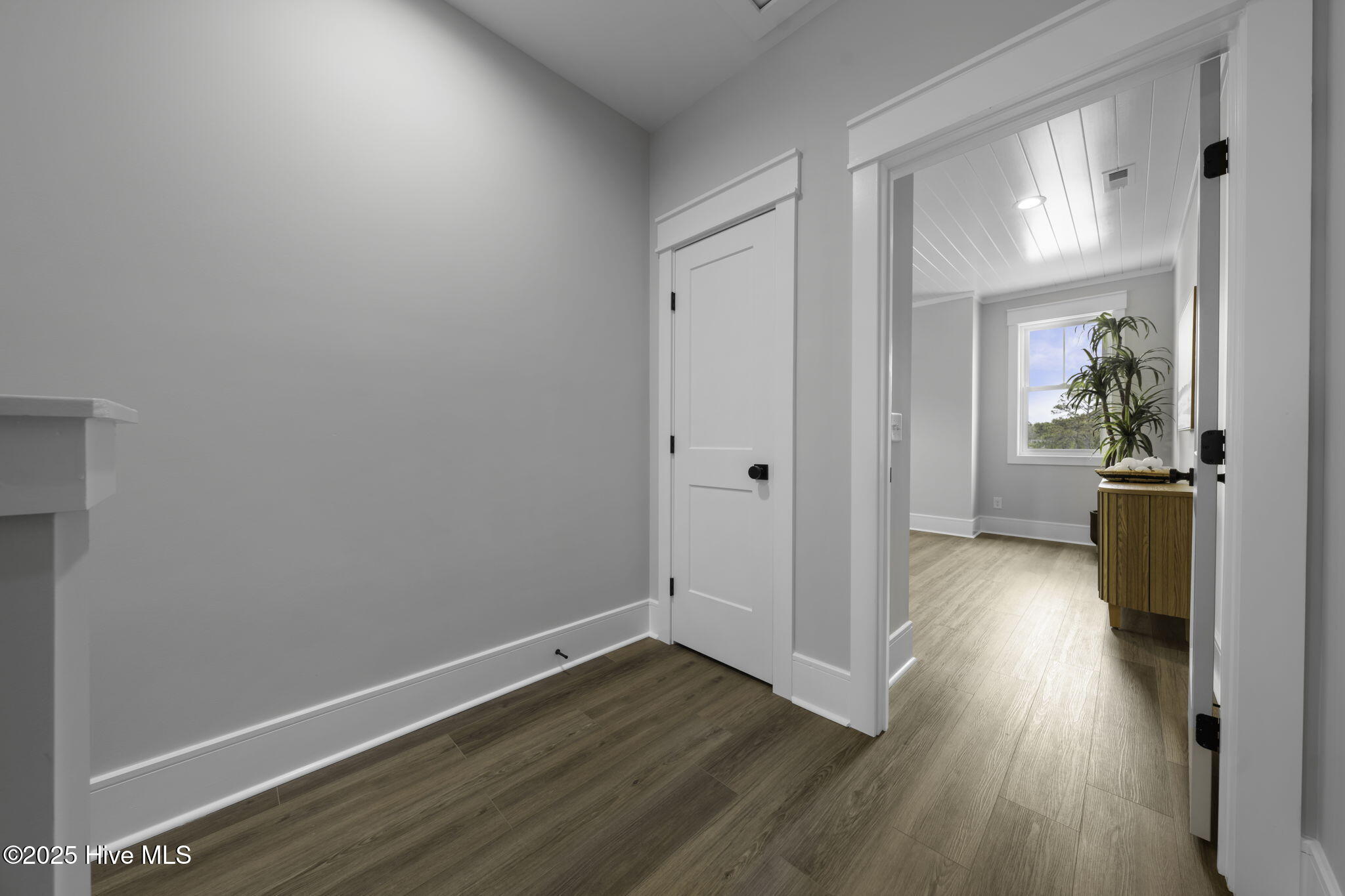 100519689 | Photo 34