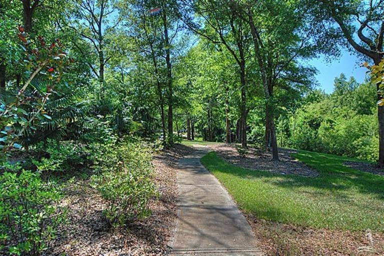 100414806 | Photo 20