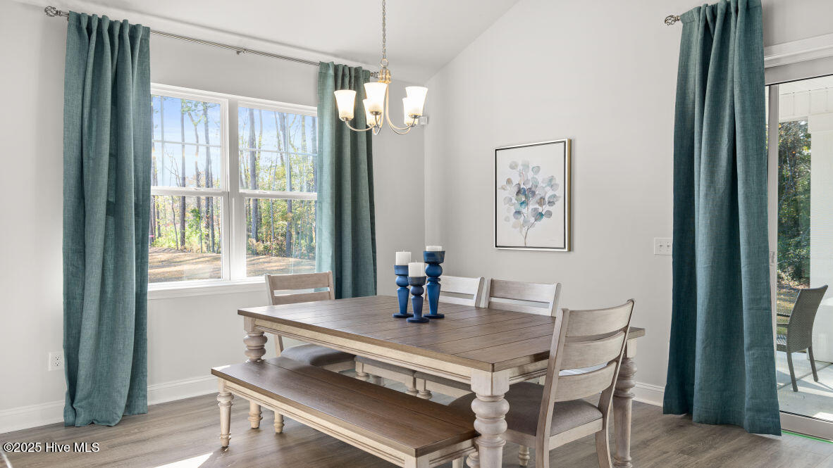 100559117 | Photo 10