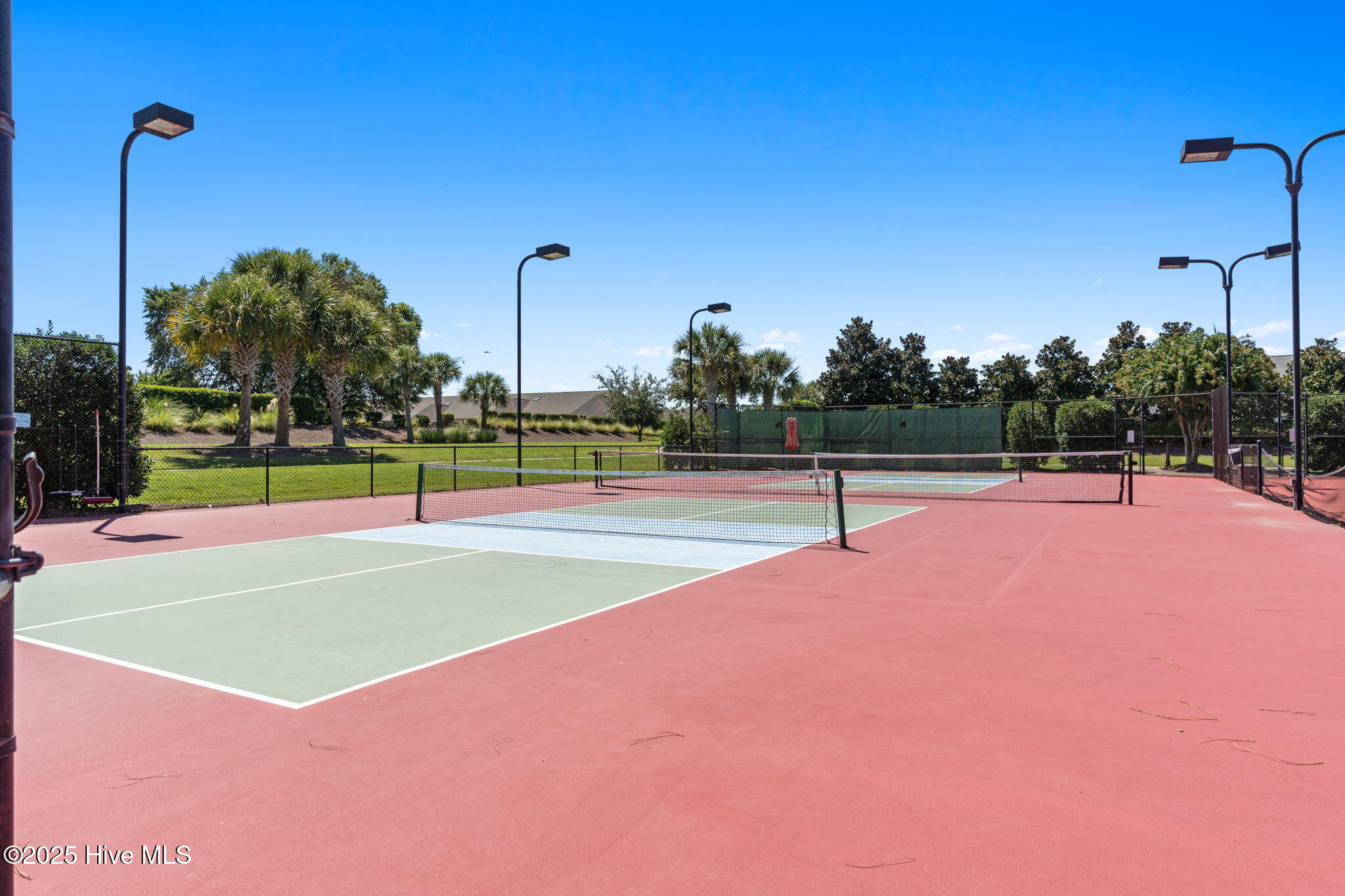 100543252 | Photo 18